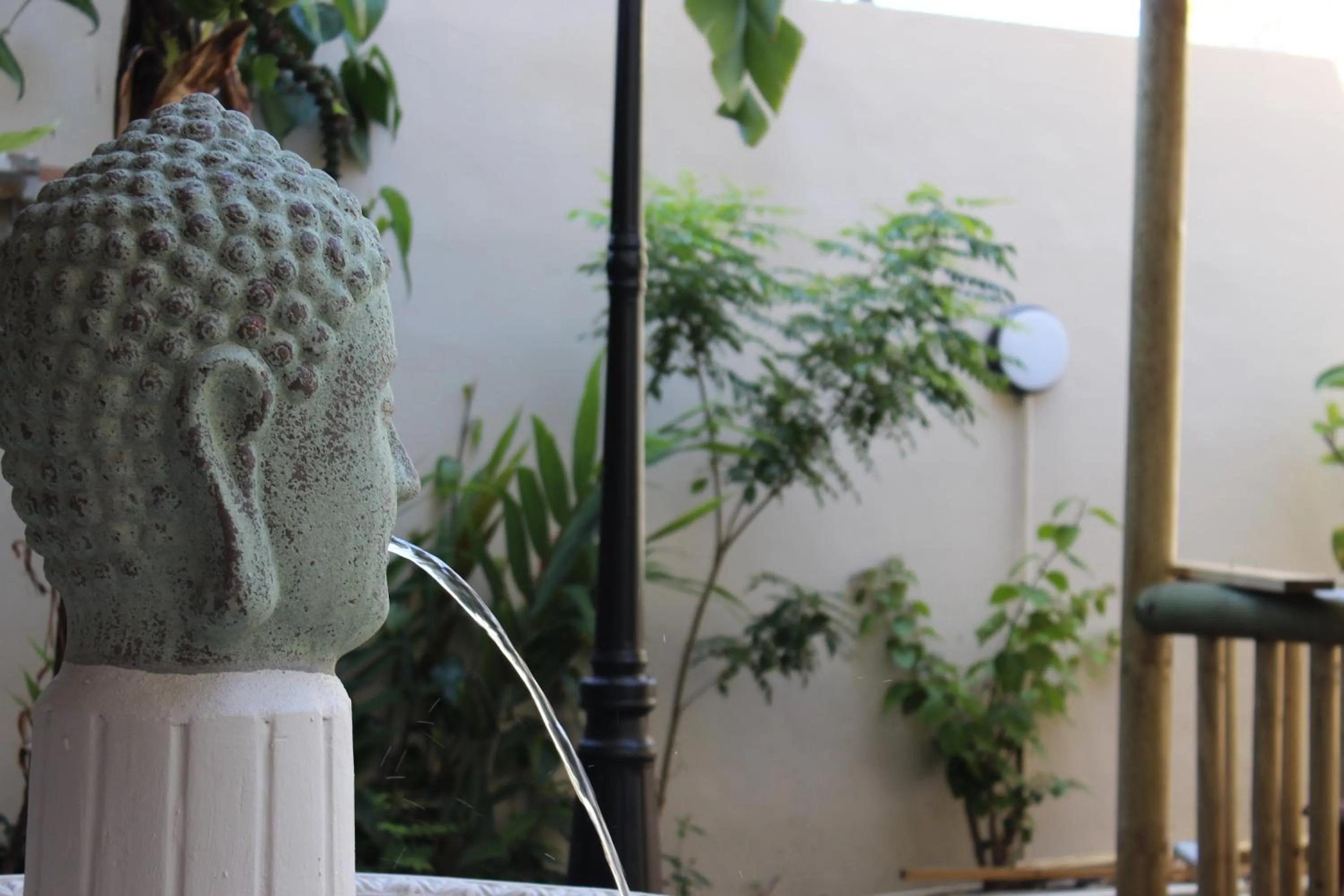 Garden in Sikamifer Tourist Resort