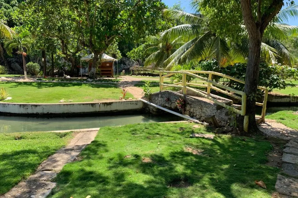 Garden view in Contemporary Ocean view 2bed Carib Ocho Rios Condo