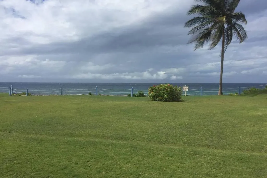 Natural landscape in Contemporary Ocean view 2bed Carib Ocho Rios Condo