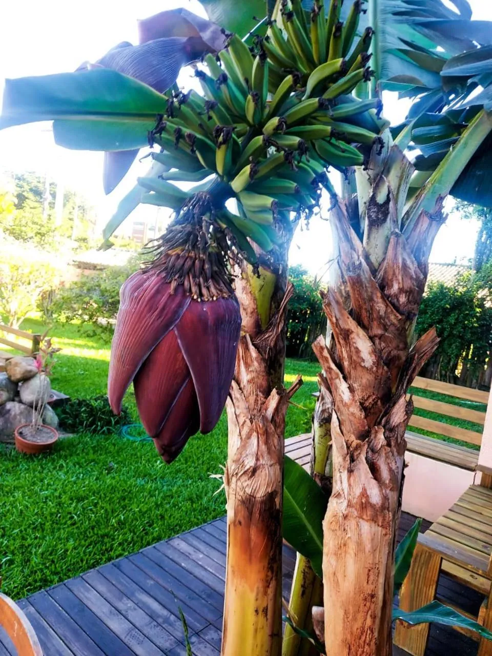 Property building in Pousada Kauai