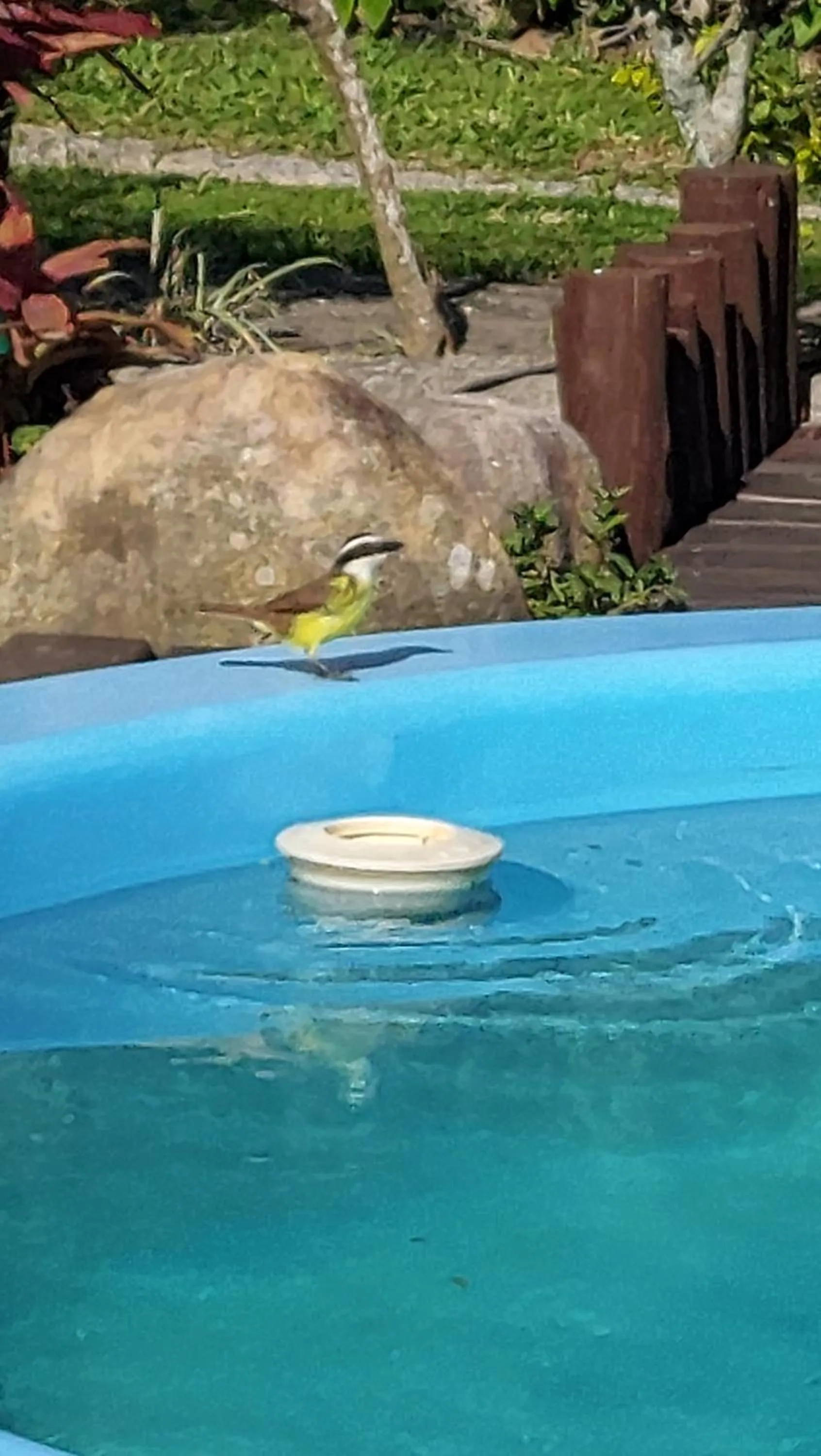 Swimming pool in Pousada Kauai