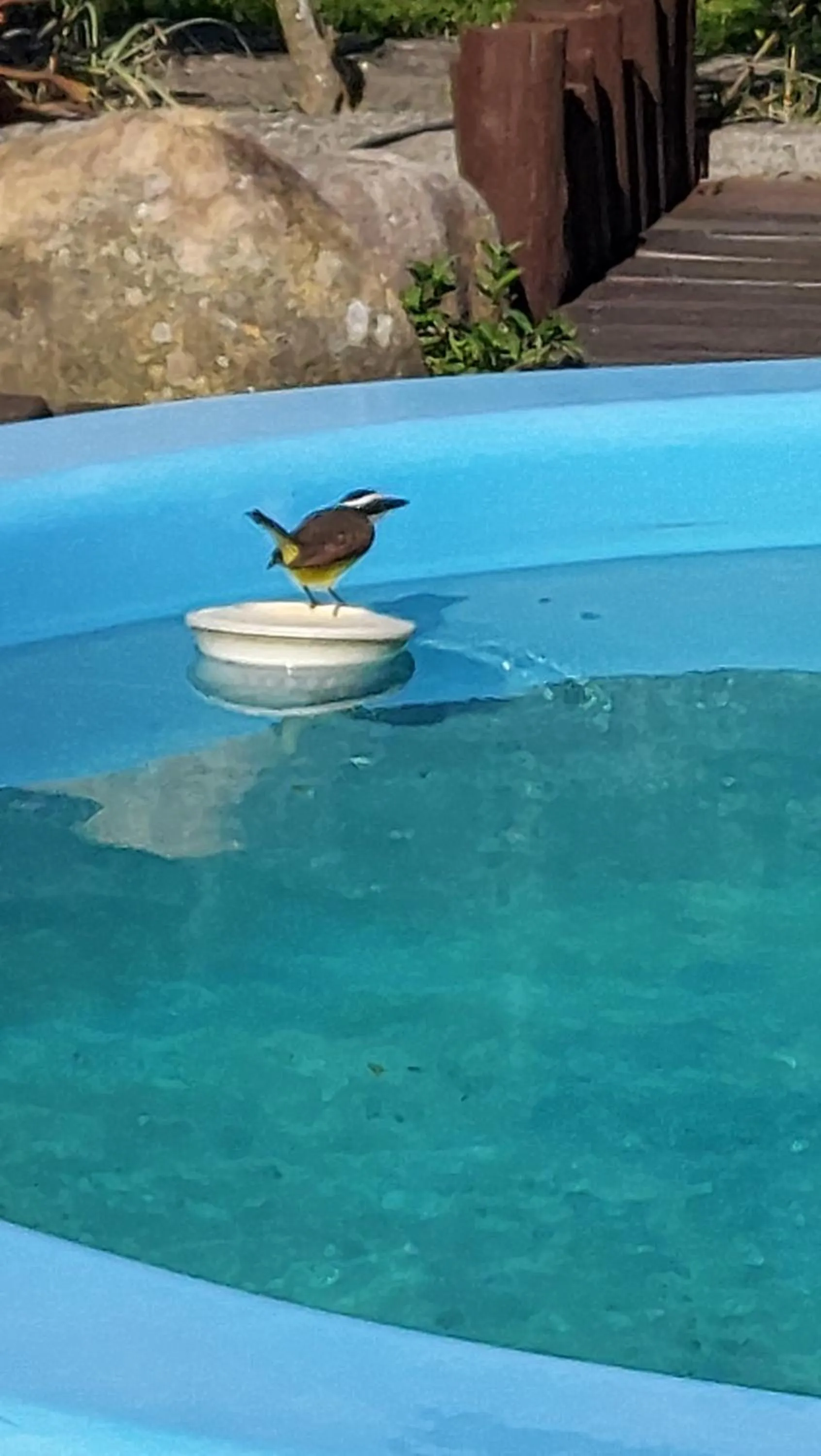 Swimming pool in Pousada Kauai