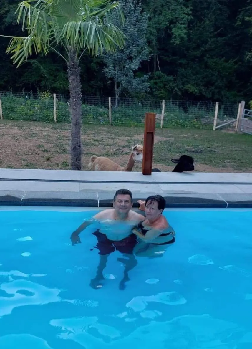 Swimming pool in B&B De l'Aisne