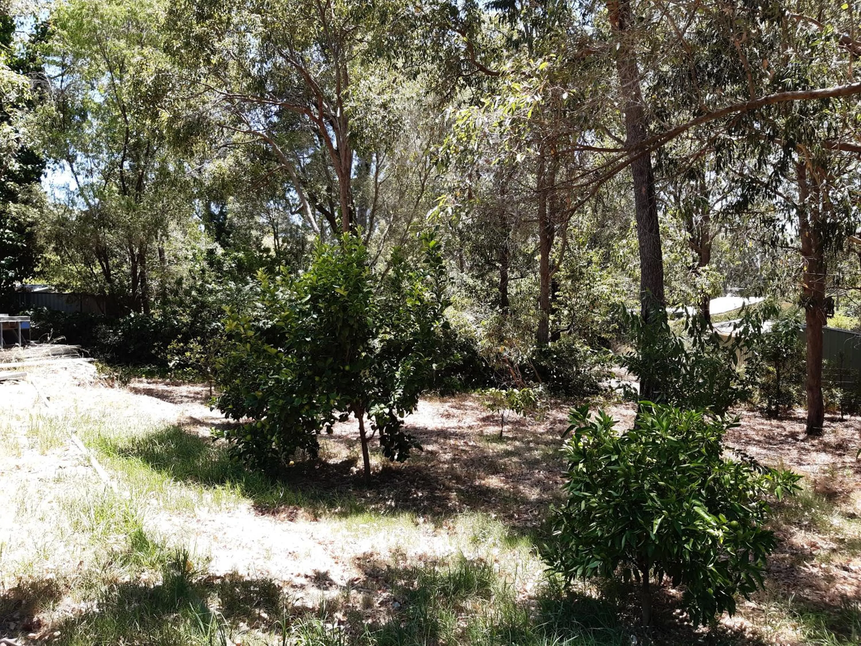 Garden in Mundaring Bed and Breakfast