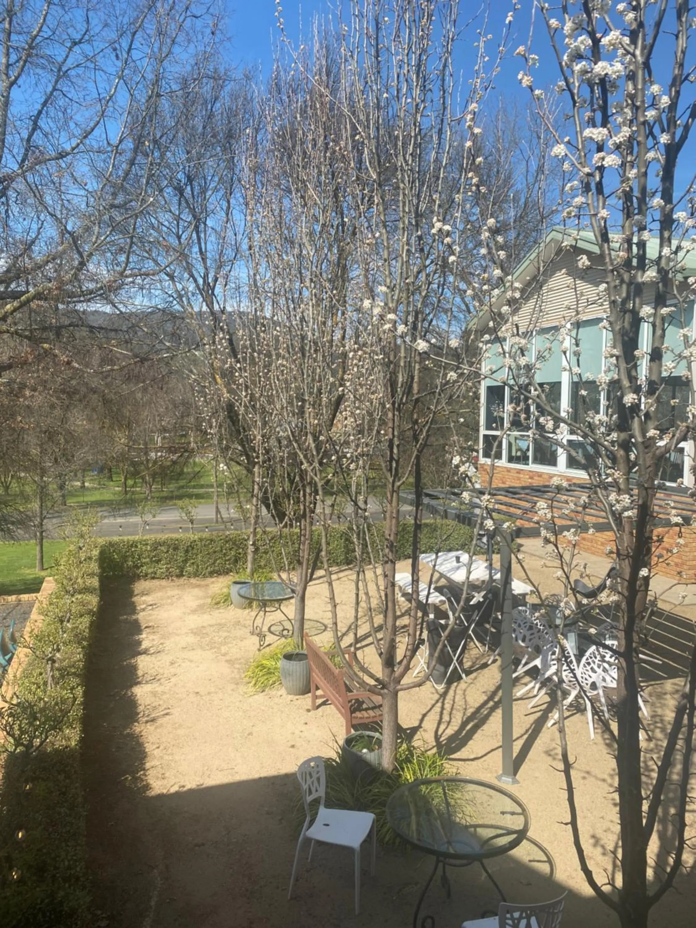 View (from property/room) in Tumbarumba Motel & Elms Restaurant