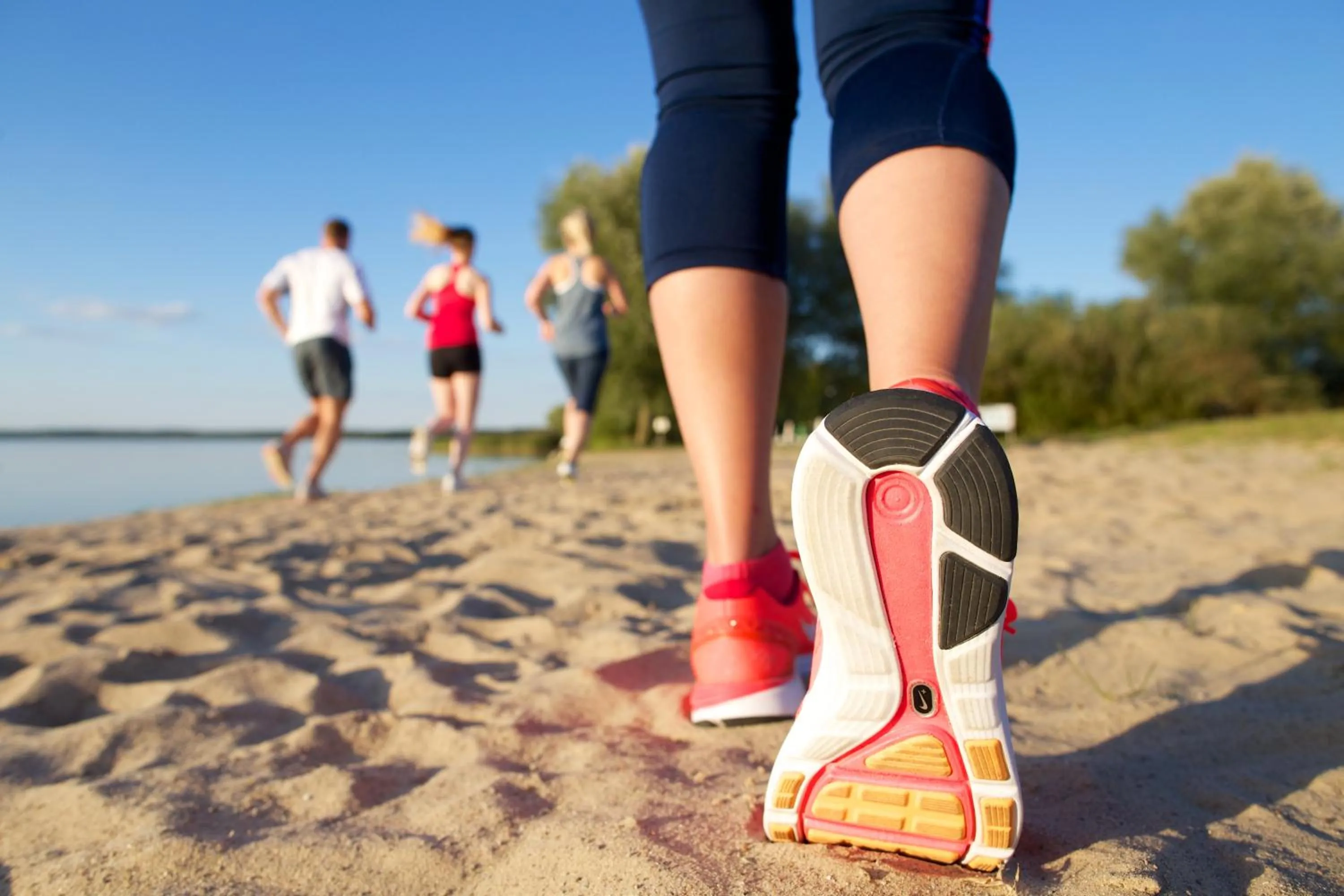 Activities in BEECH Resort Fleesensee