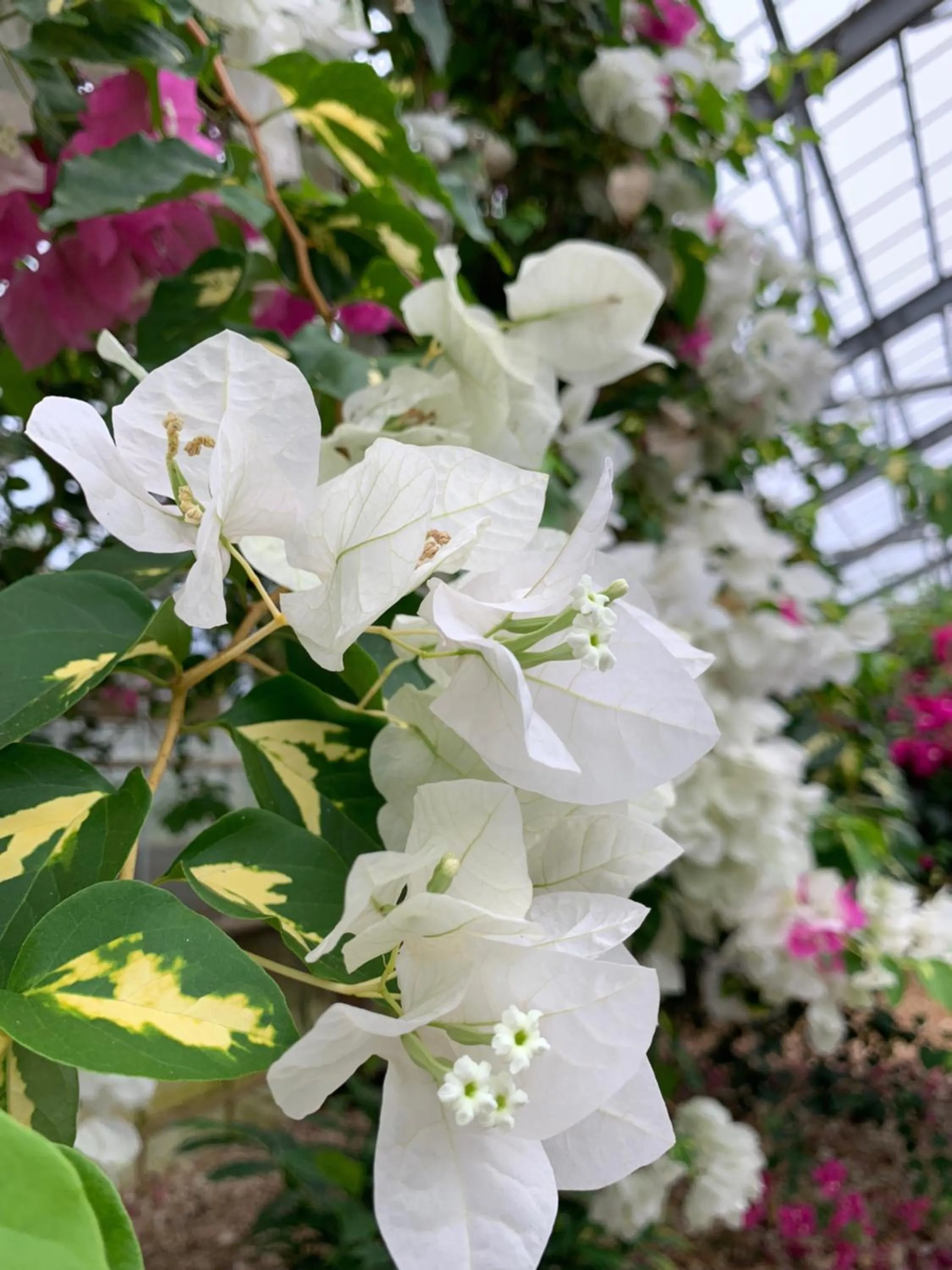 Natural landscape in HOTEL Fit in Miyakojima