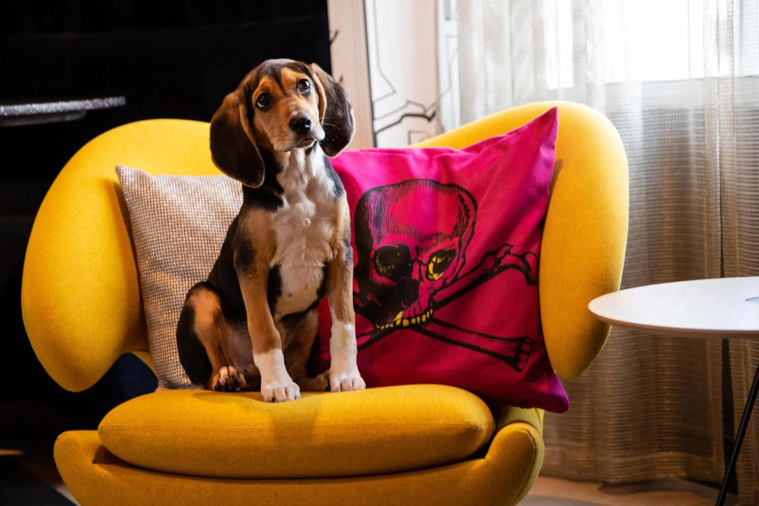 View (from property/room) in Aloft Tampa Midtown