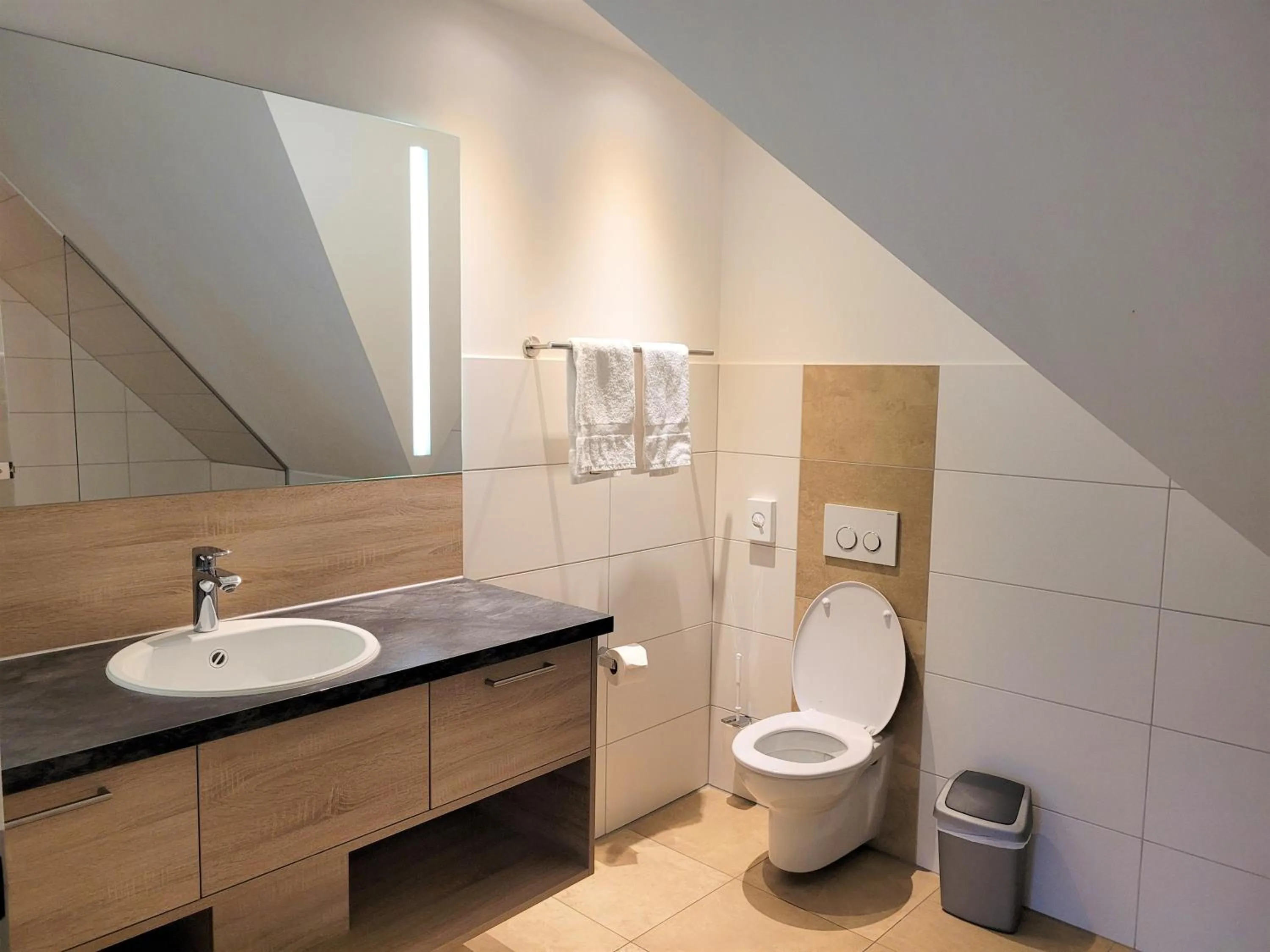 Toilet in Hotel Rössle