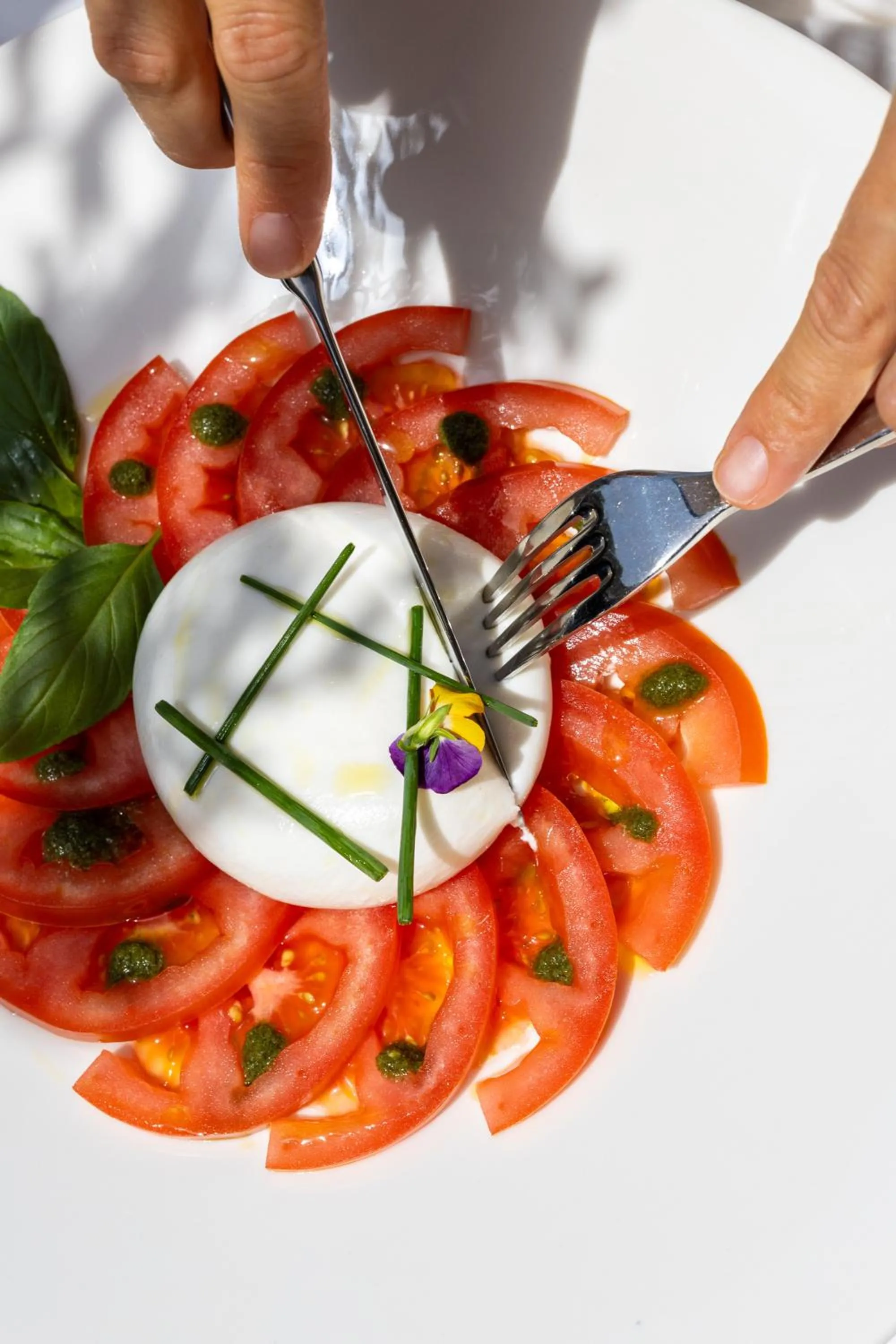 Food close-up in Maslina Resort