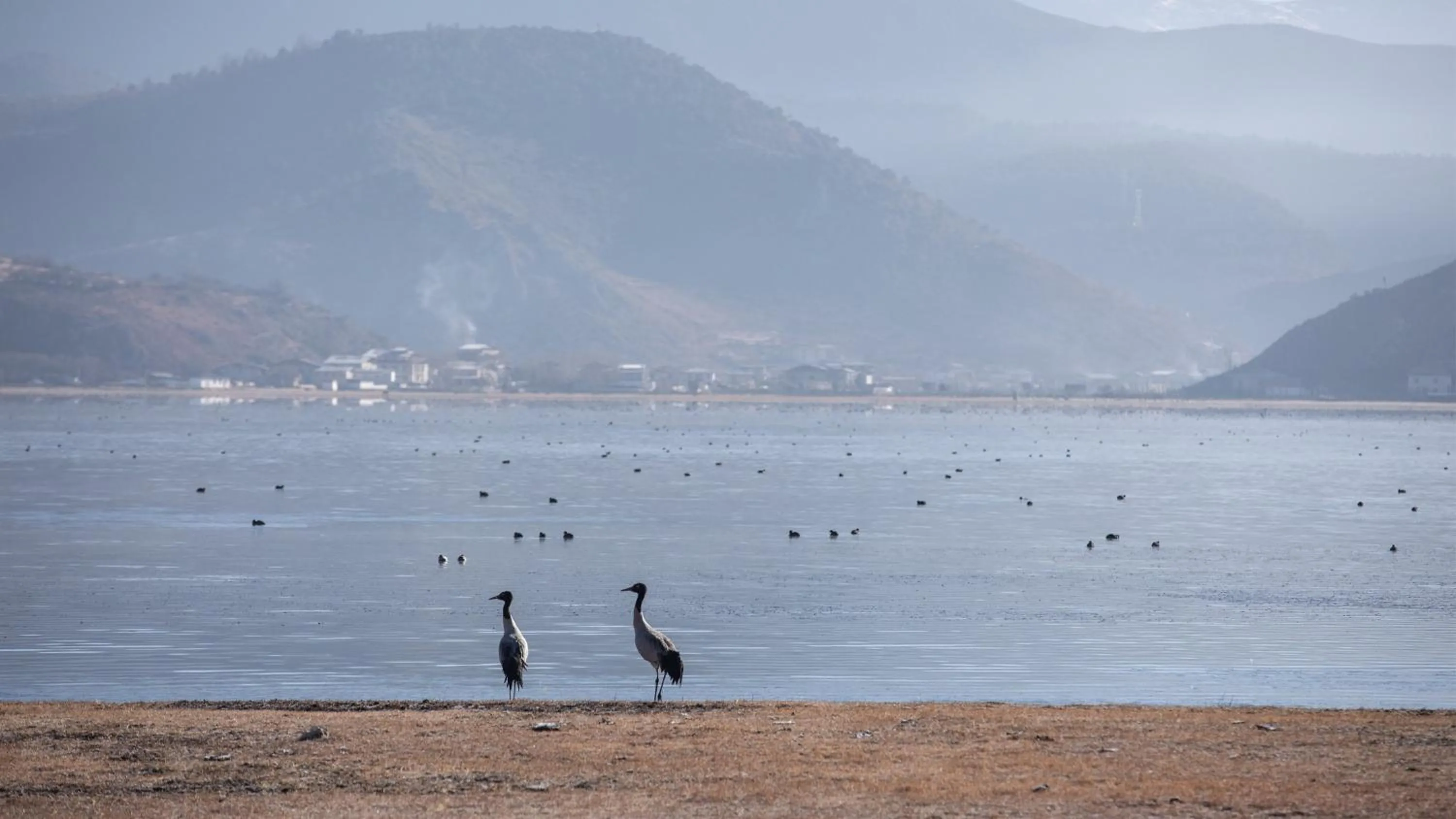 Nearby landmark in Hotel Indigo Diqing Moonlight City by IHG