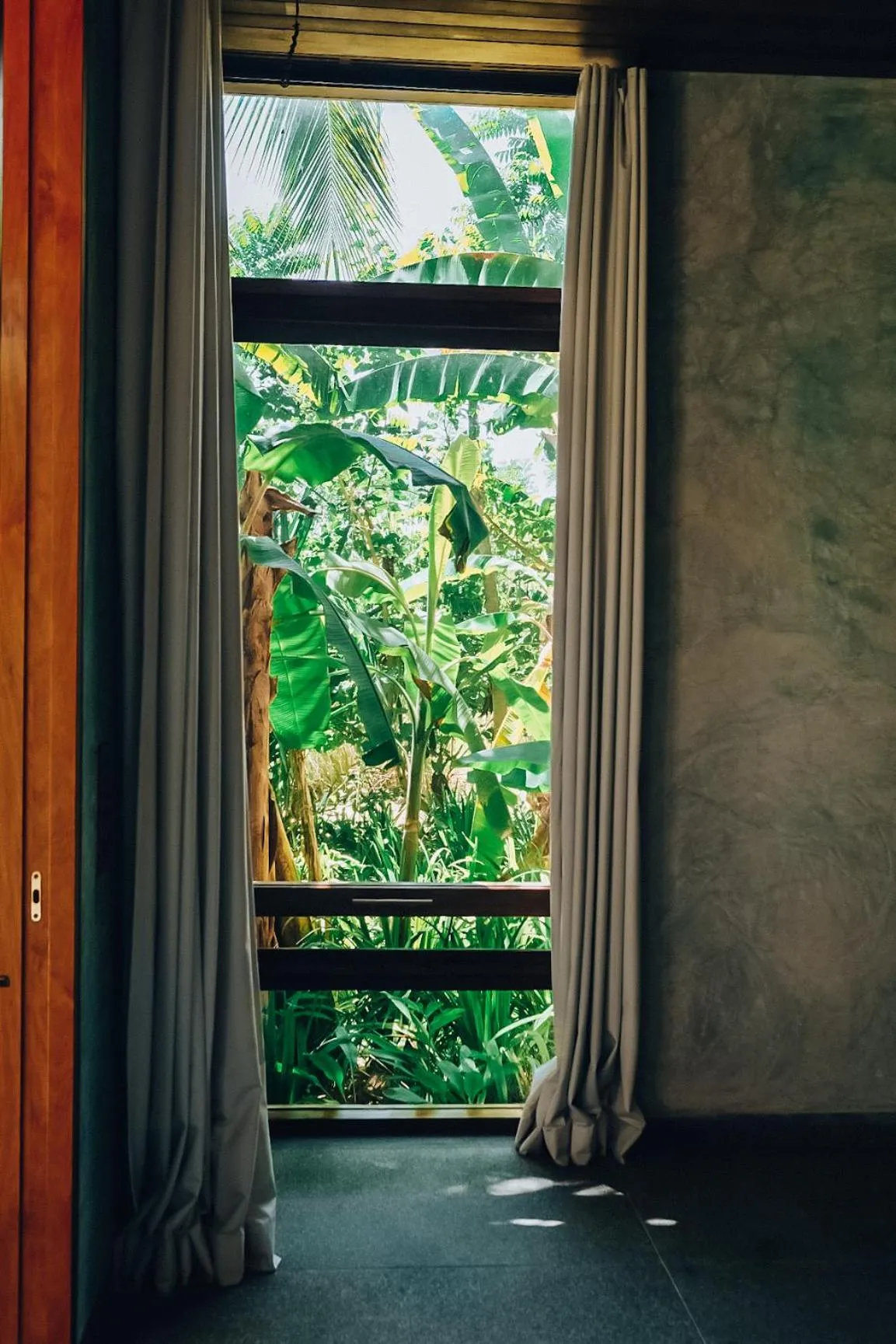 View (from property/room) in Kizikula