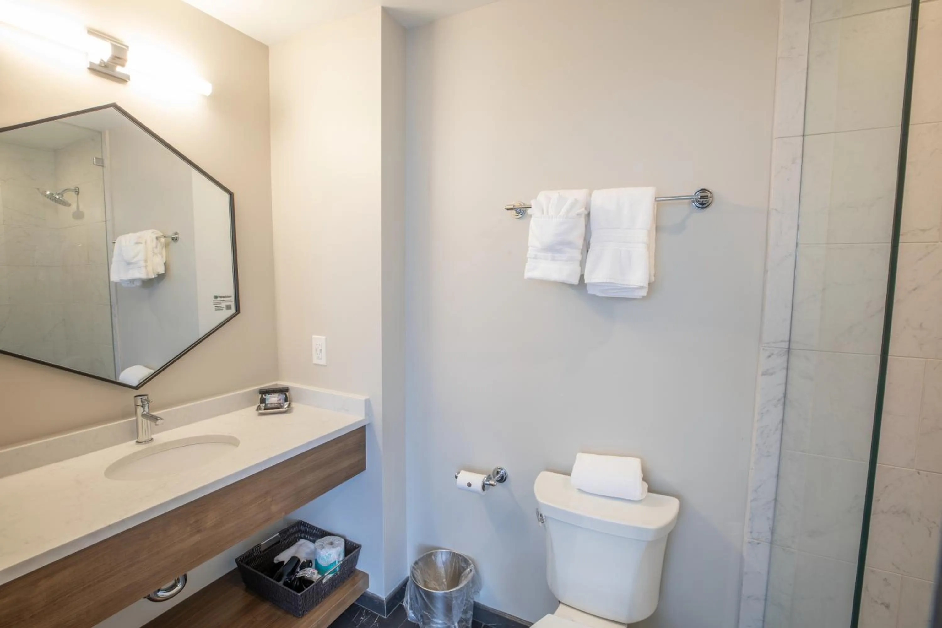 Bathroom in The Bee Hotel, Danville