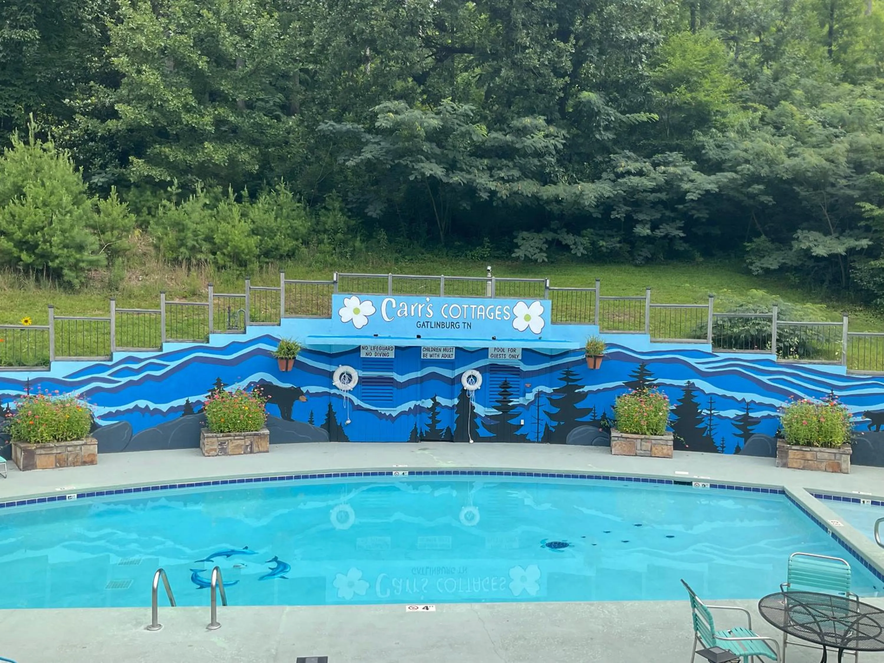 Swimming pool in Carr's Northside Hotel and Cottages