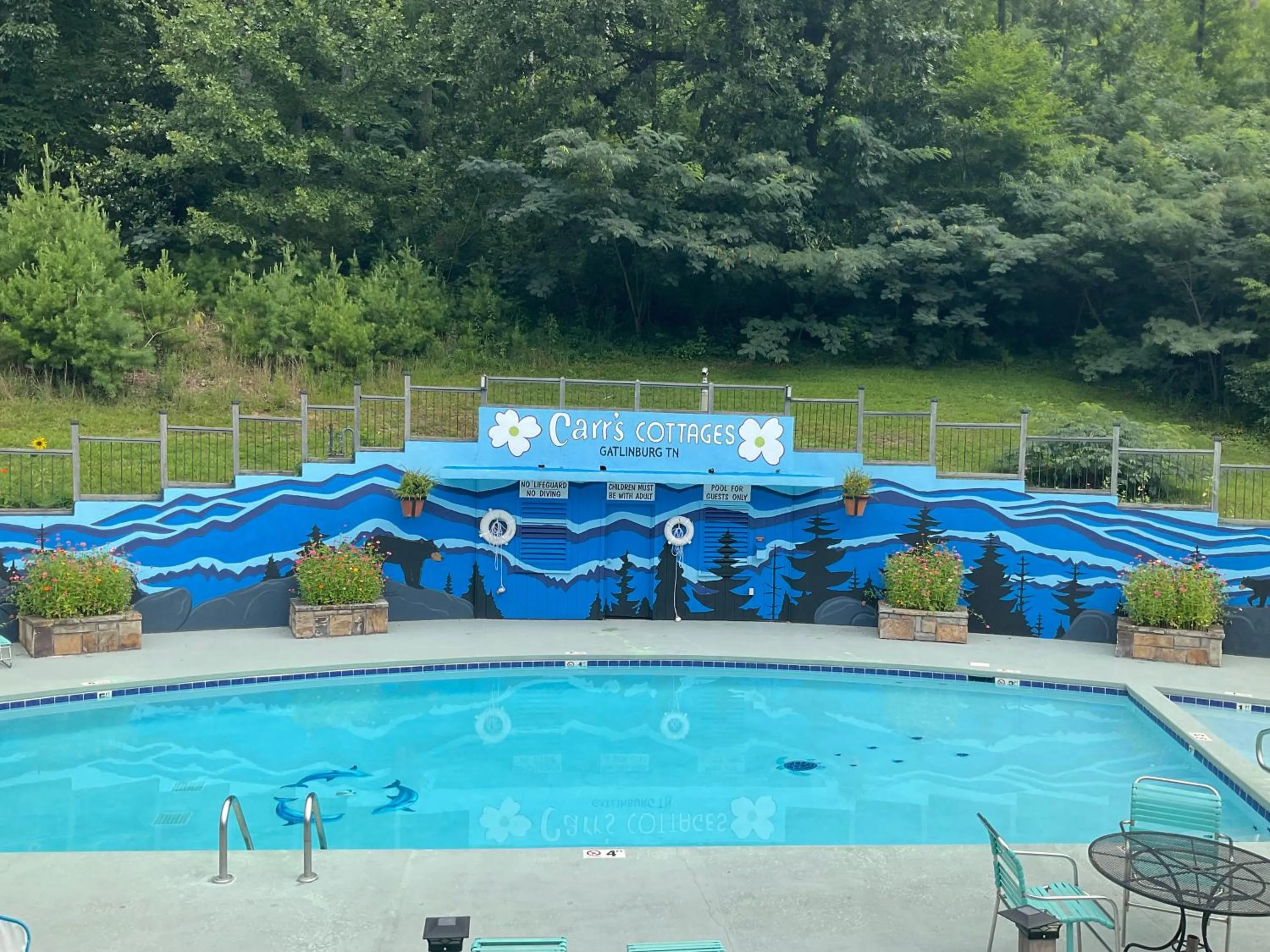Swimming pool in Carr's Northside Hotel and Cottages