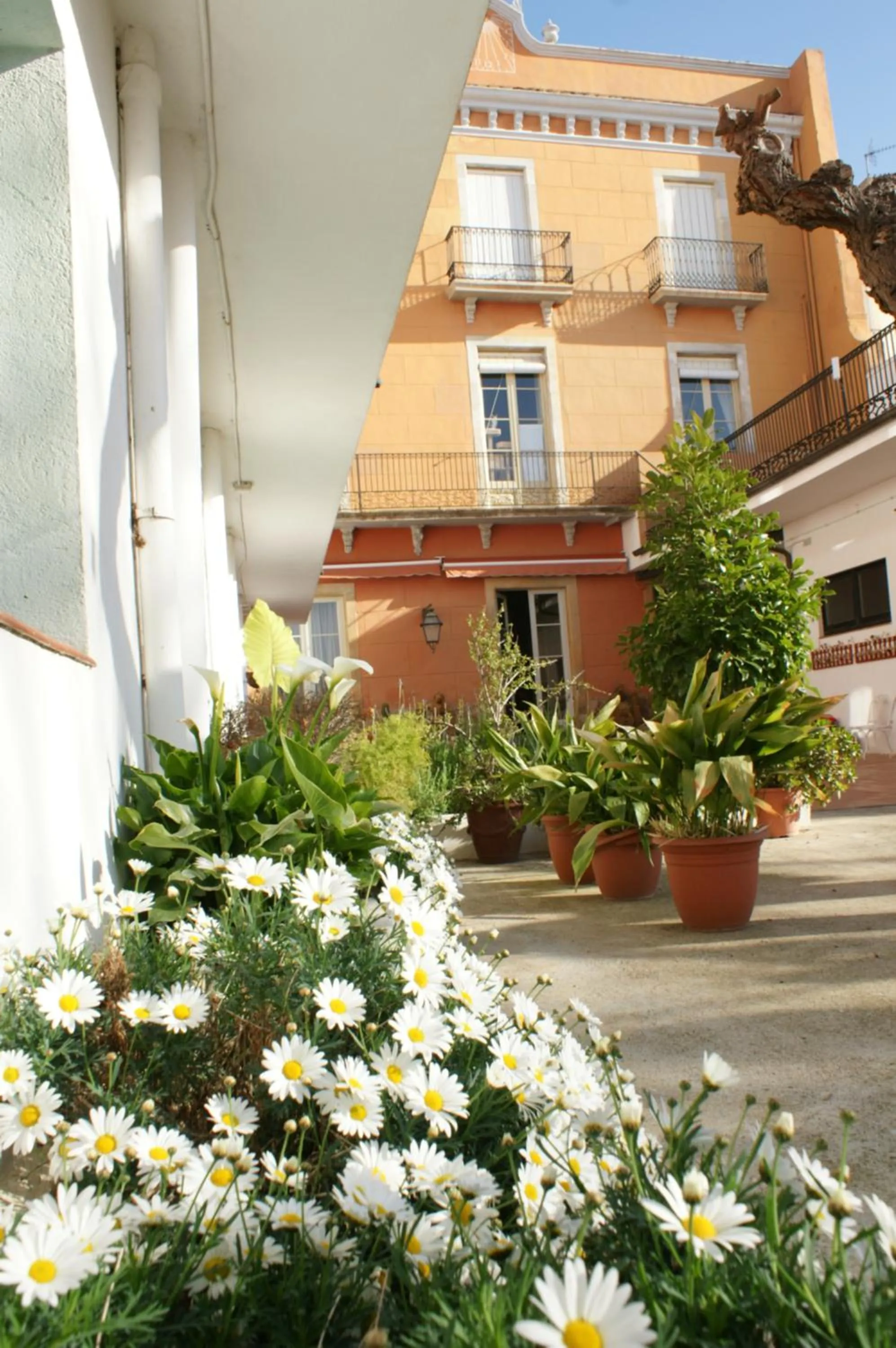 Hostal Plaja i Pati de Can Plaja