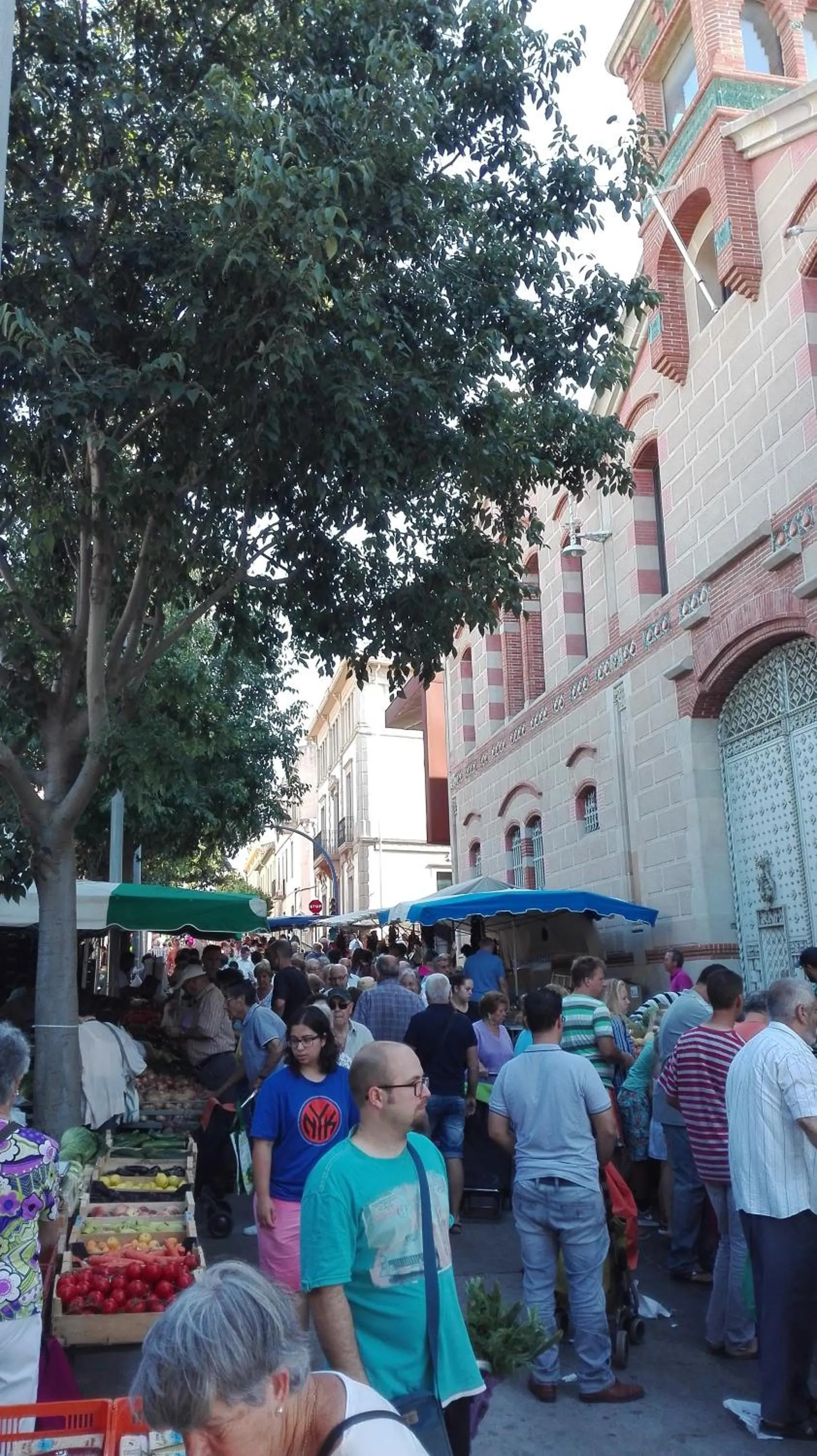 Hostal Plaja i Pati de Can Plaja