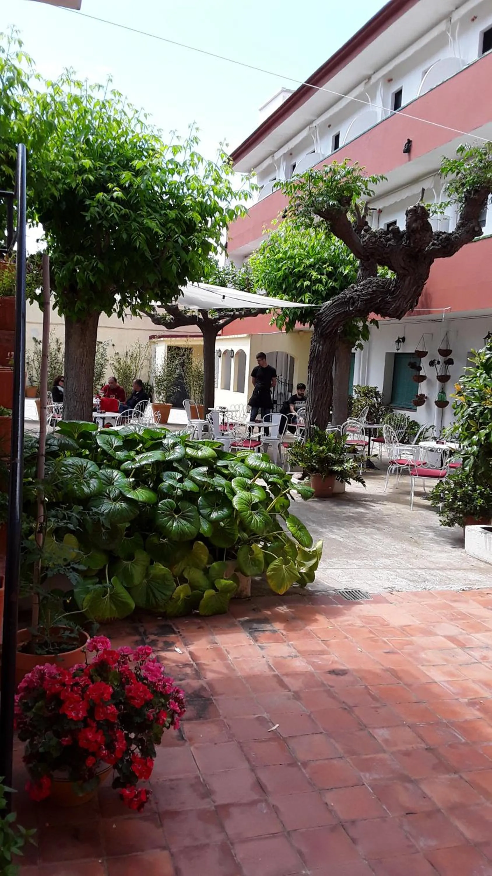 Garden in Hostal Plaja i Pati de Can Plaja