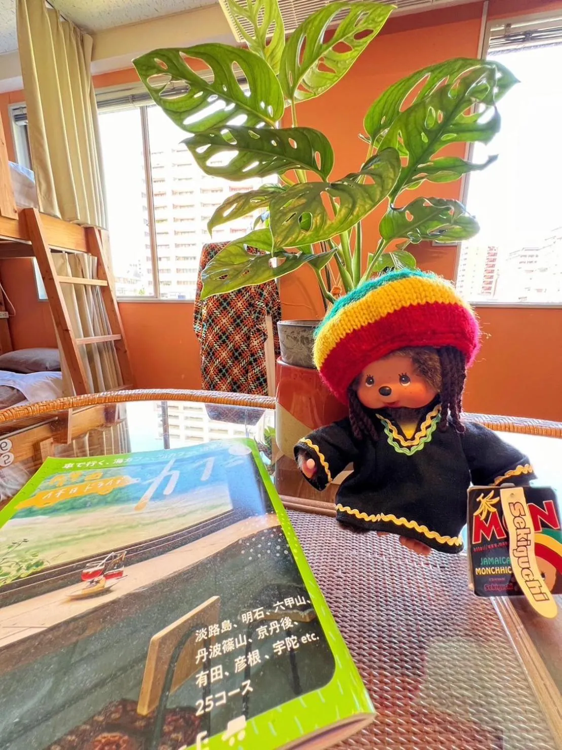 Bunk Bed in Female Dormitory Room   in HOSTEL CHILLAX
