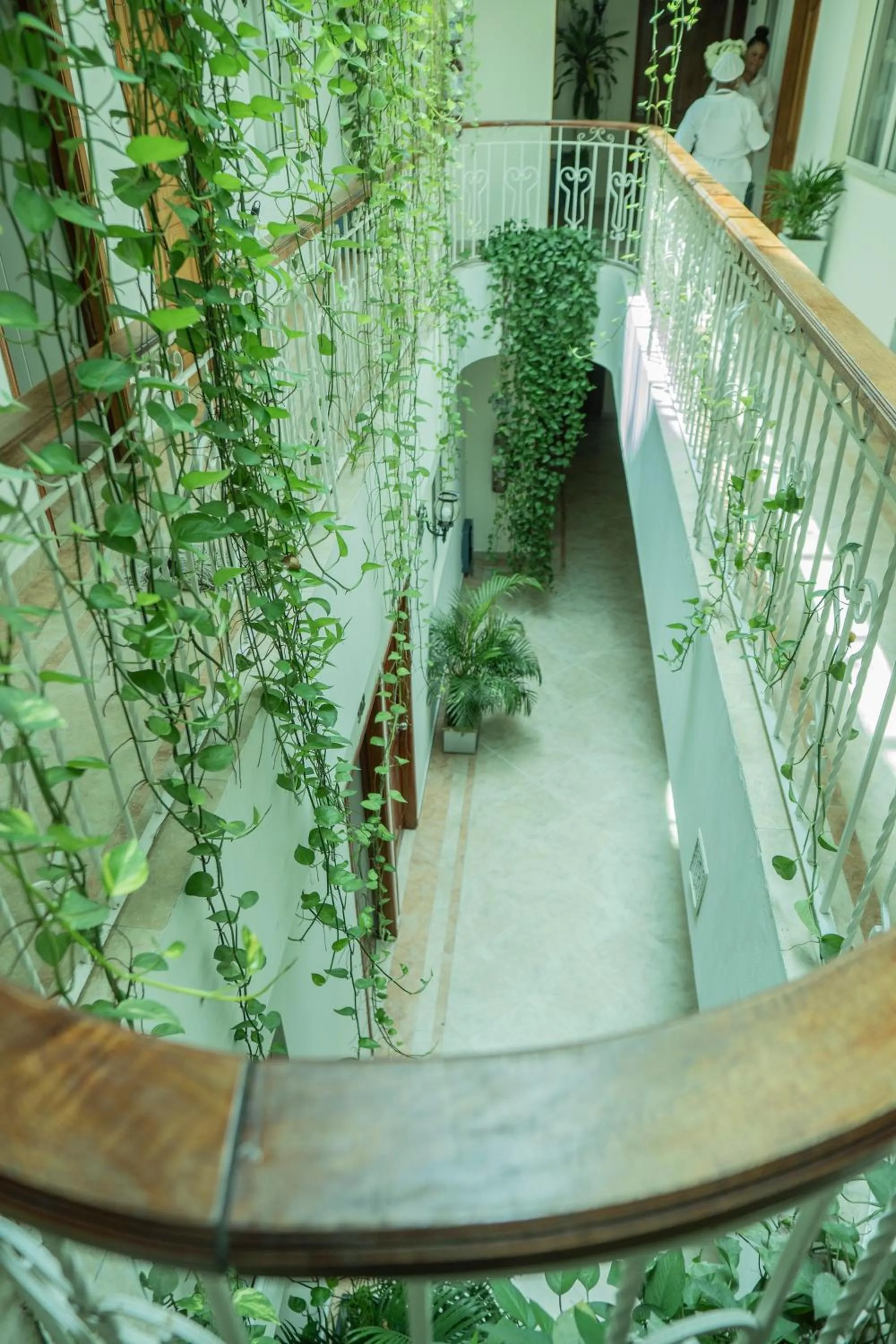 Inner courtyard view in Hotel Marie Real Cartagena