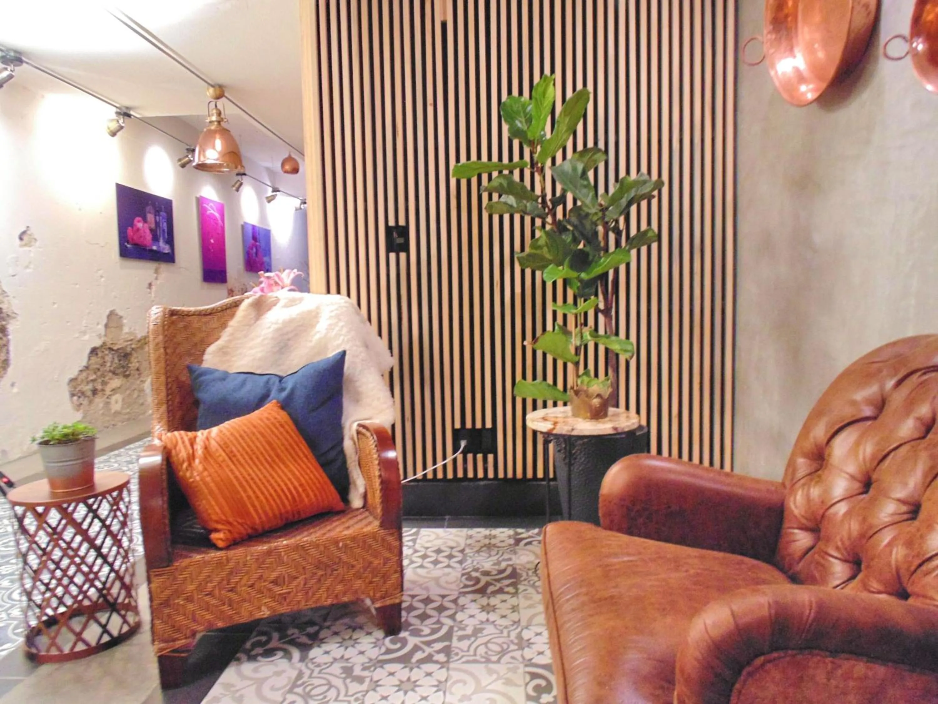 Area and facilities in Suites Viveros de Coyoacán, estilo y comfort