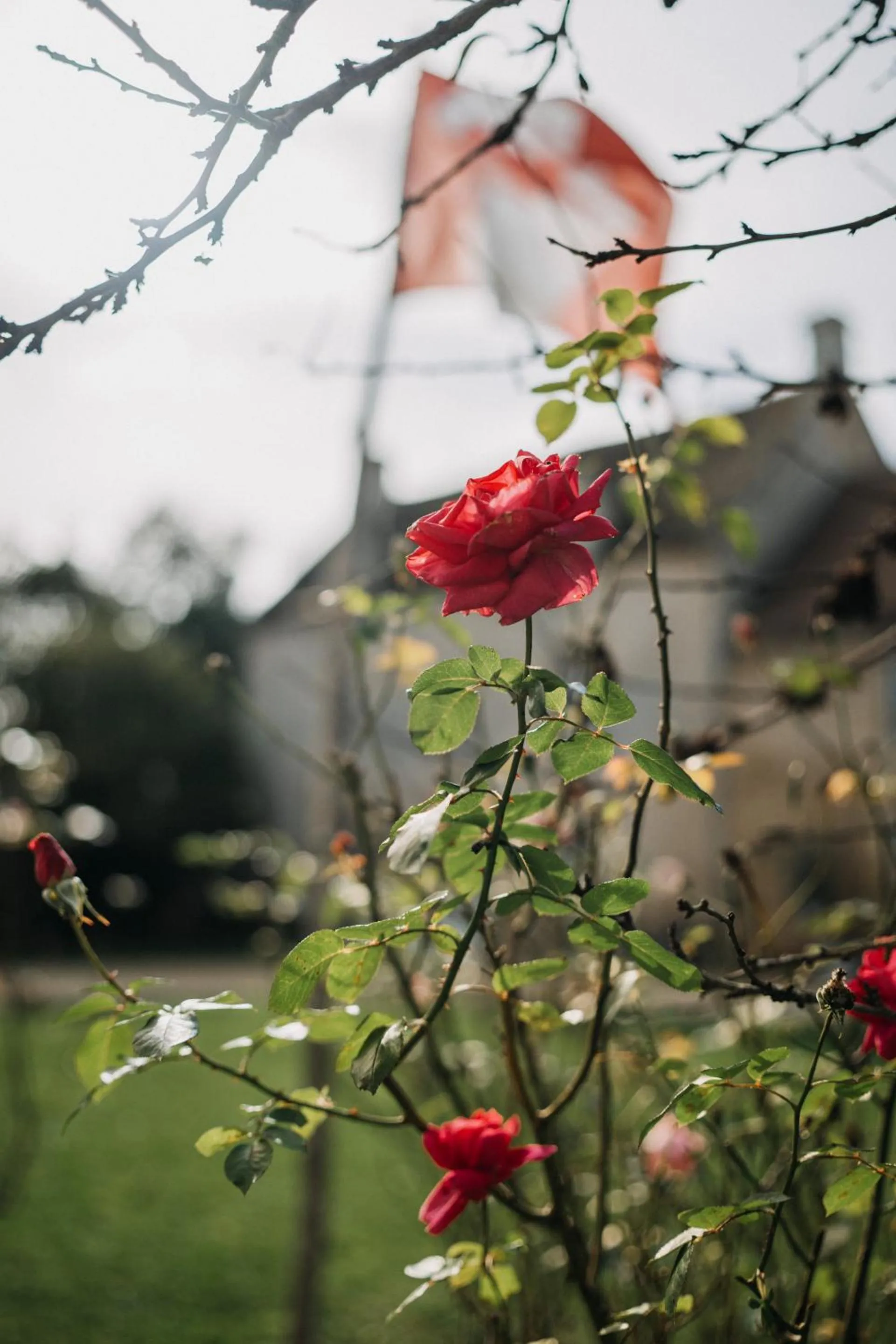 Property building in Les Granges Pelloquin
