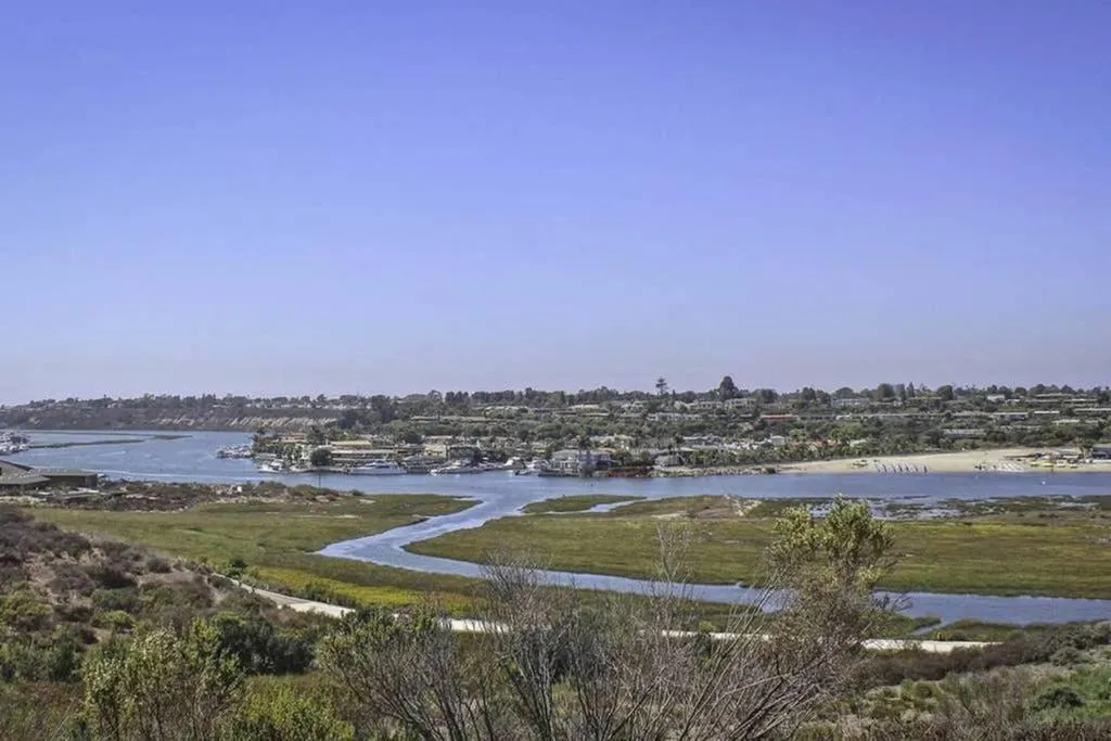 Natural landscape in 1000#5 Premier Modern Home w View, Parking, and AC