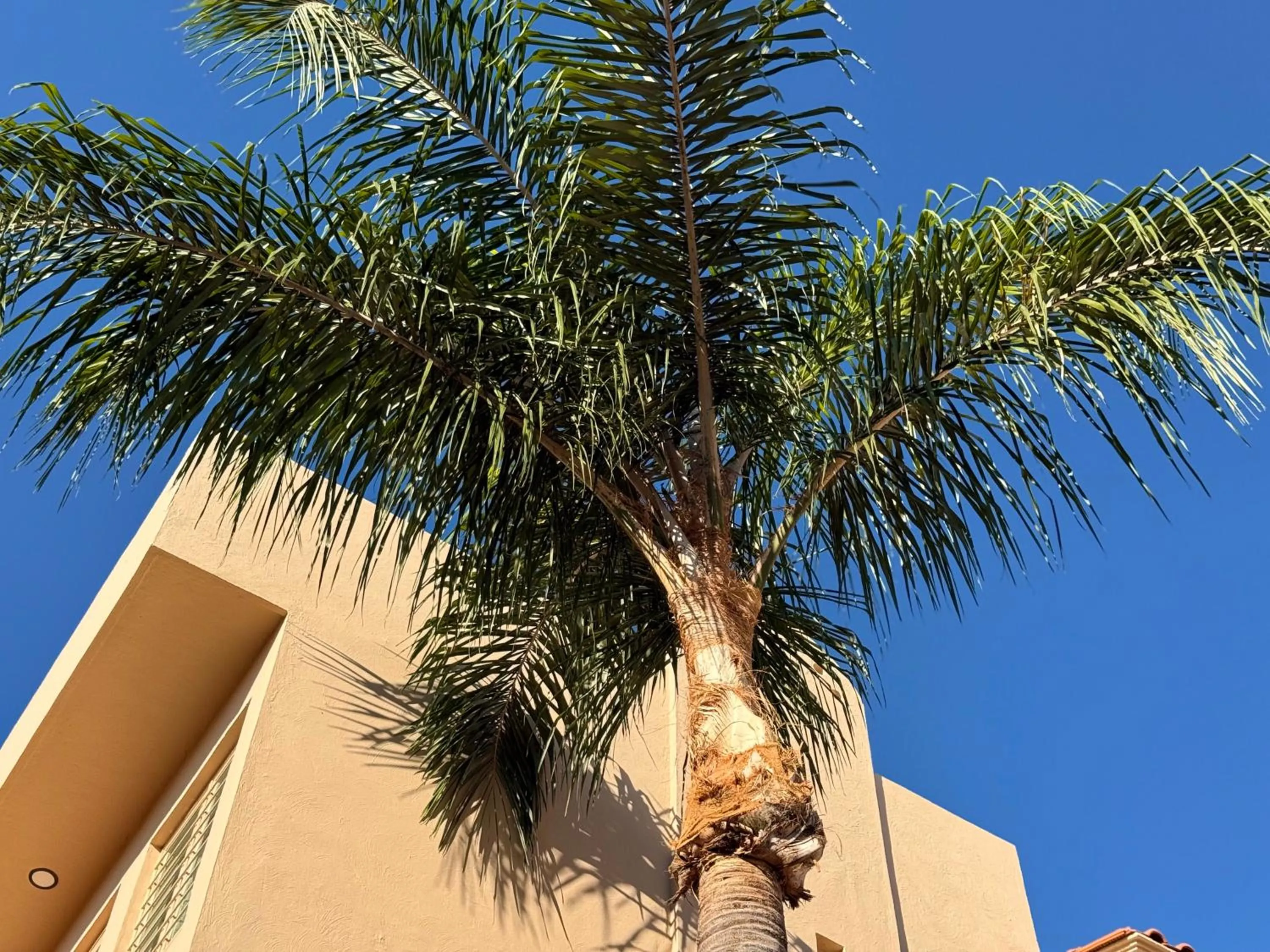 Villa La Palma Hotel