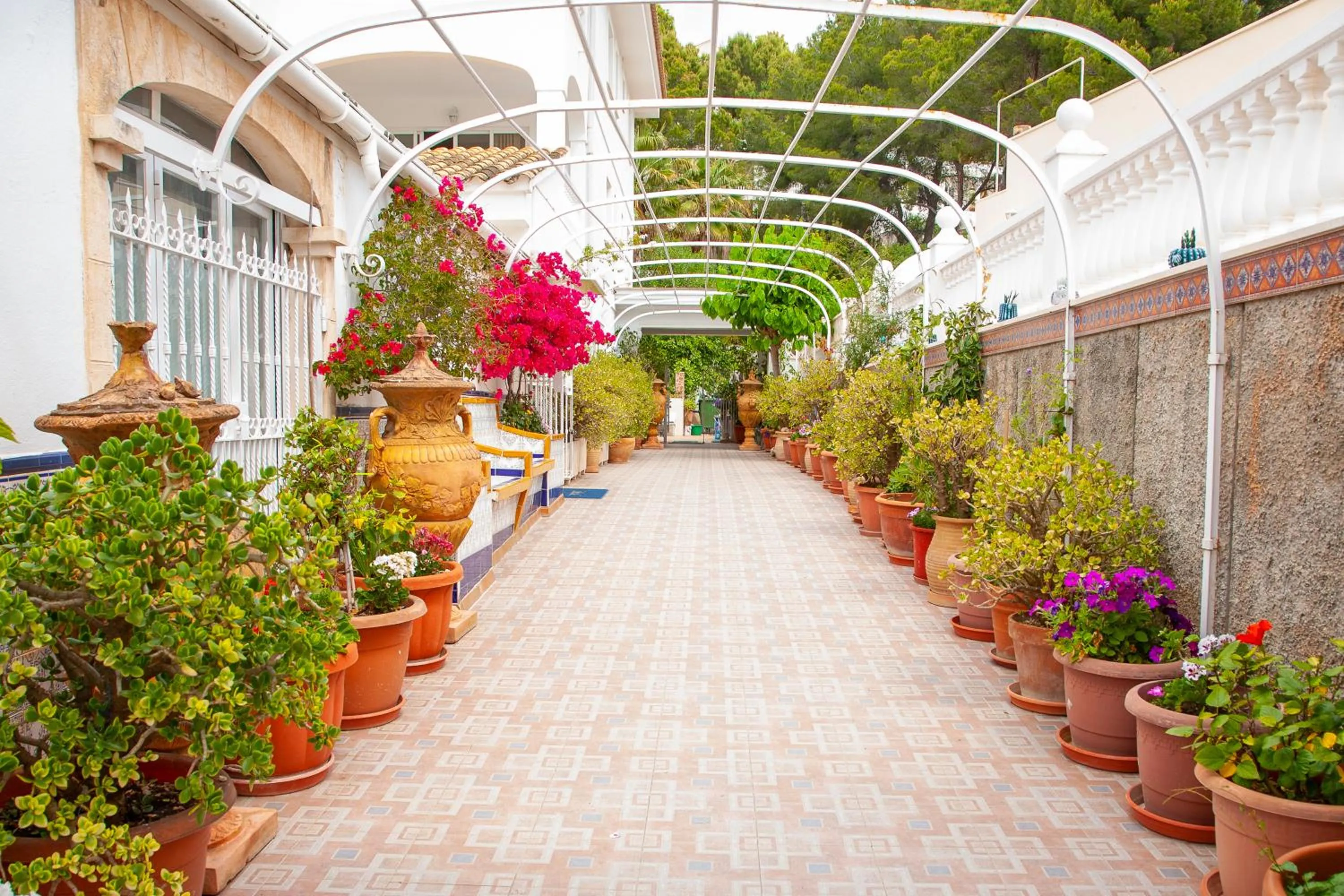 Atalaya Bosque Apartamentos