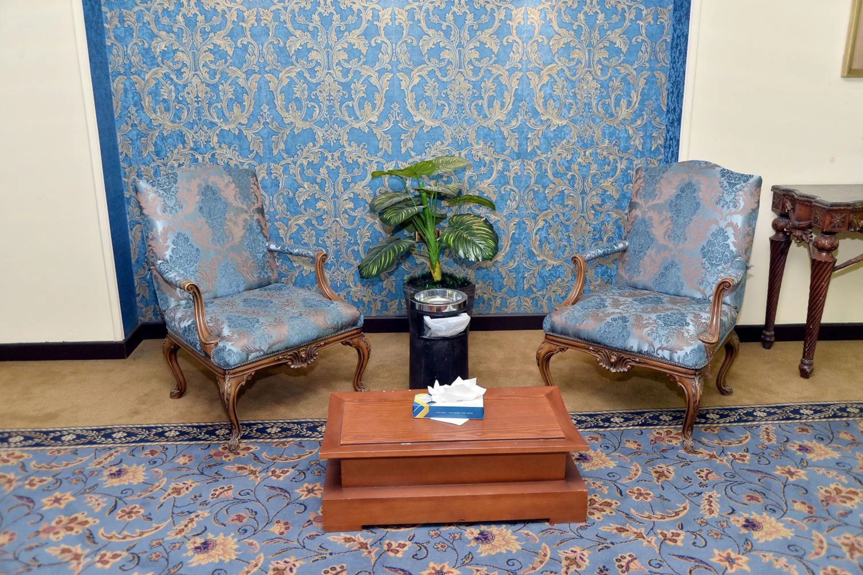 Paradise Home City Stars