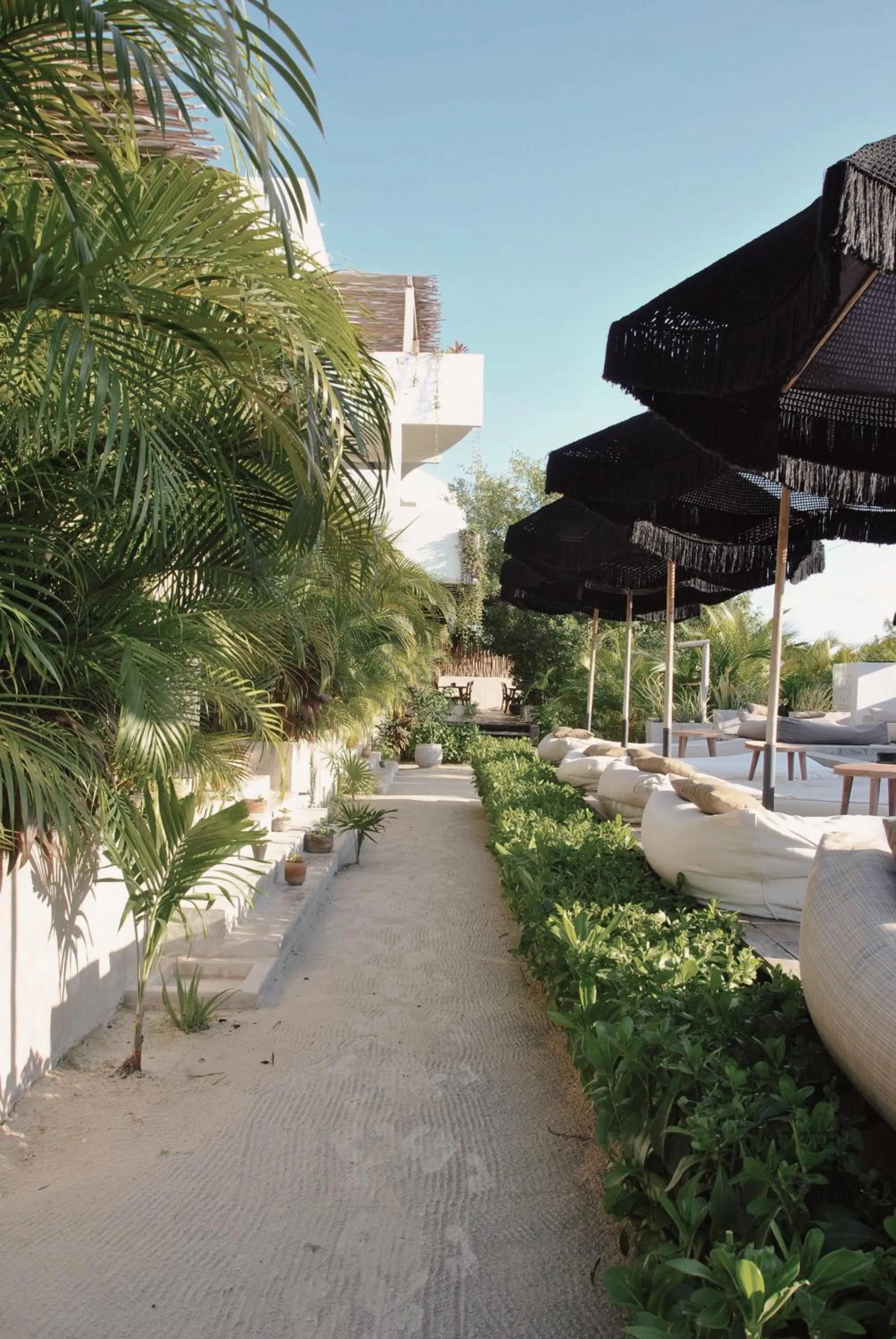 Garden in Boutique Hotel EL NIDO Holbox