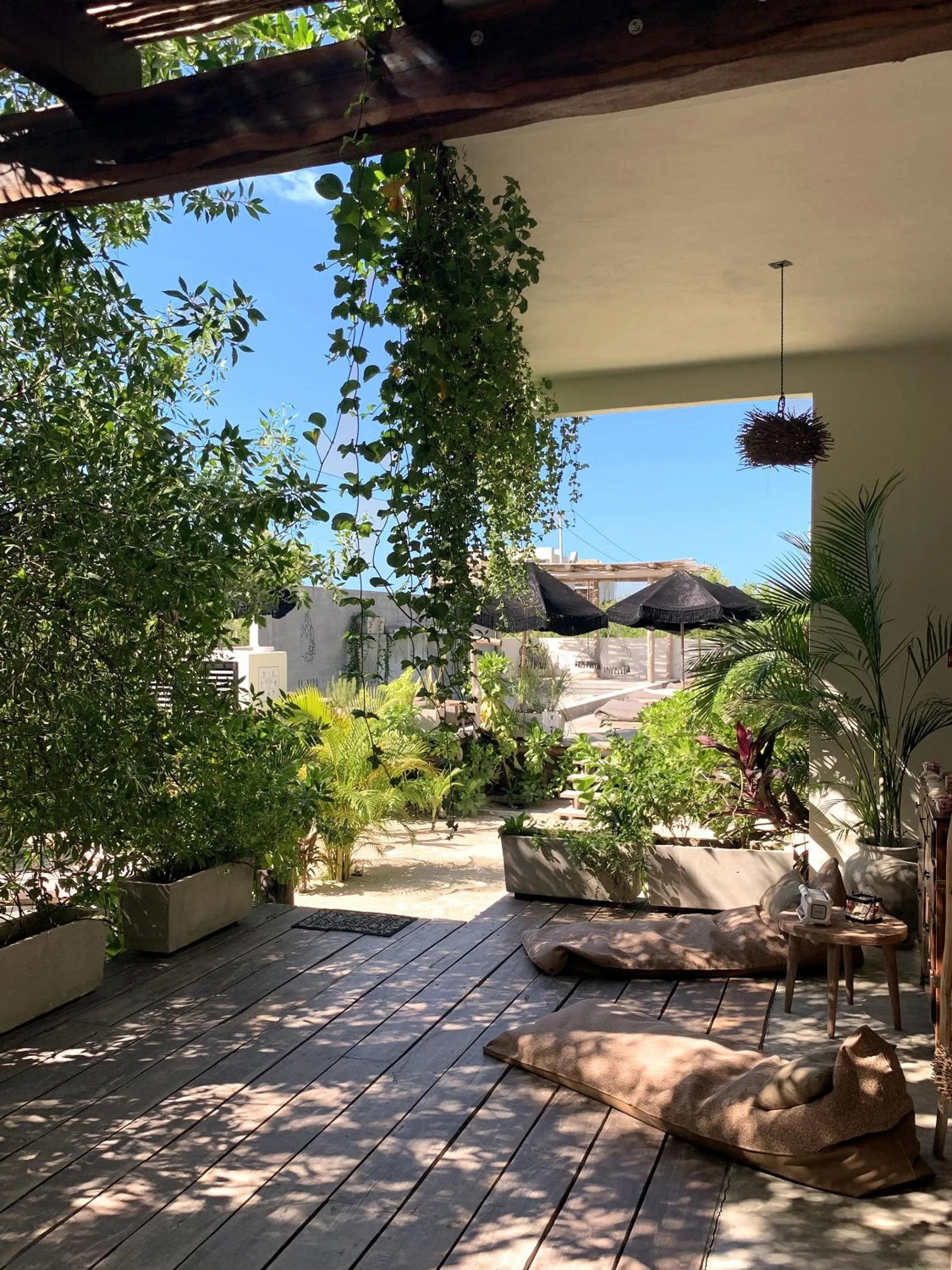 Lobby or reception in Boutique Hotel EL NIDO Holbox