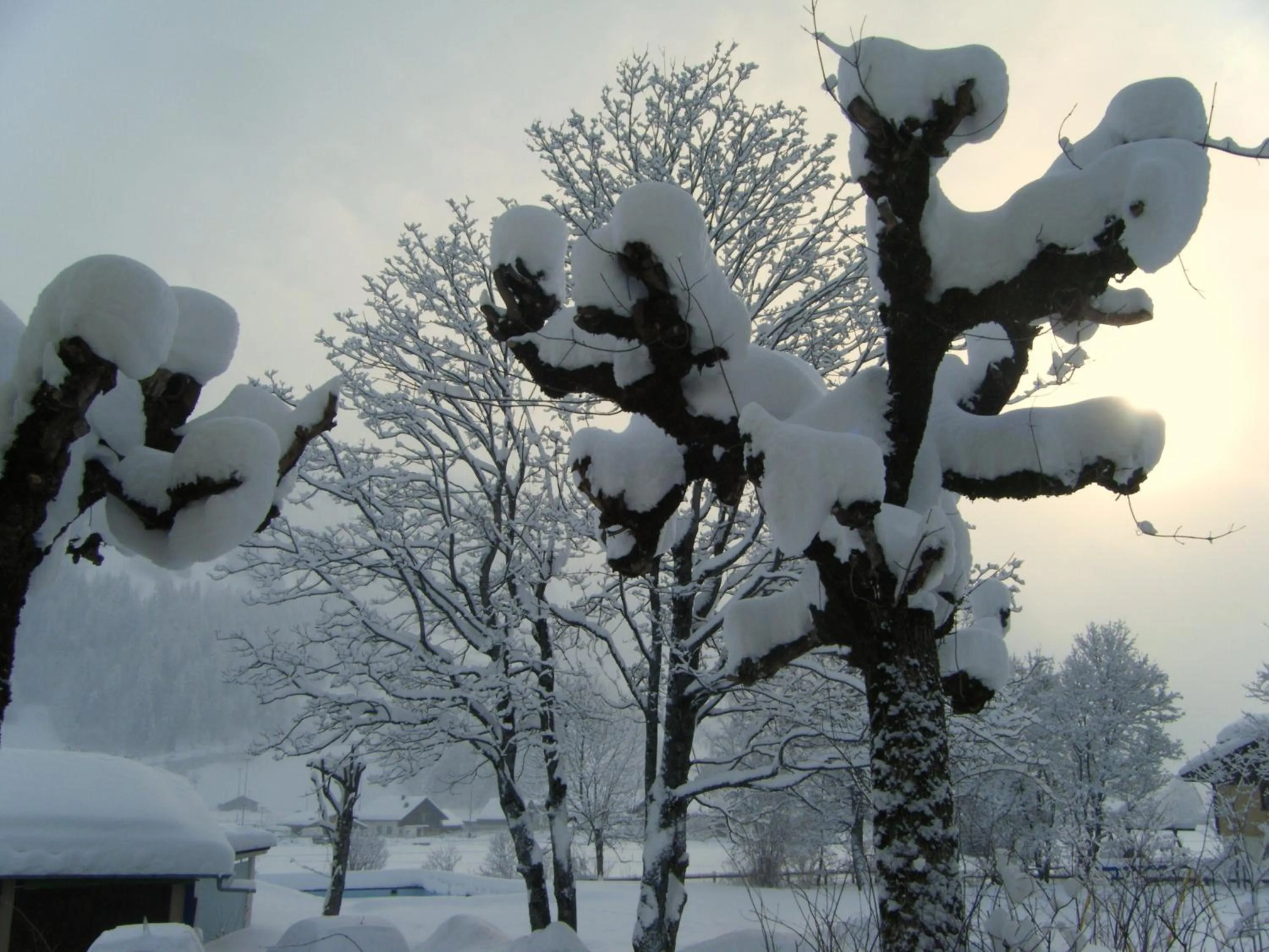 Other in Parkhotel Bellevue Budget