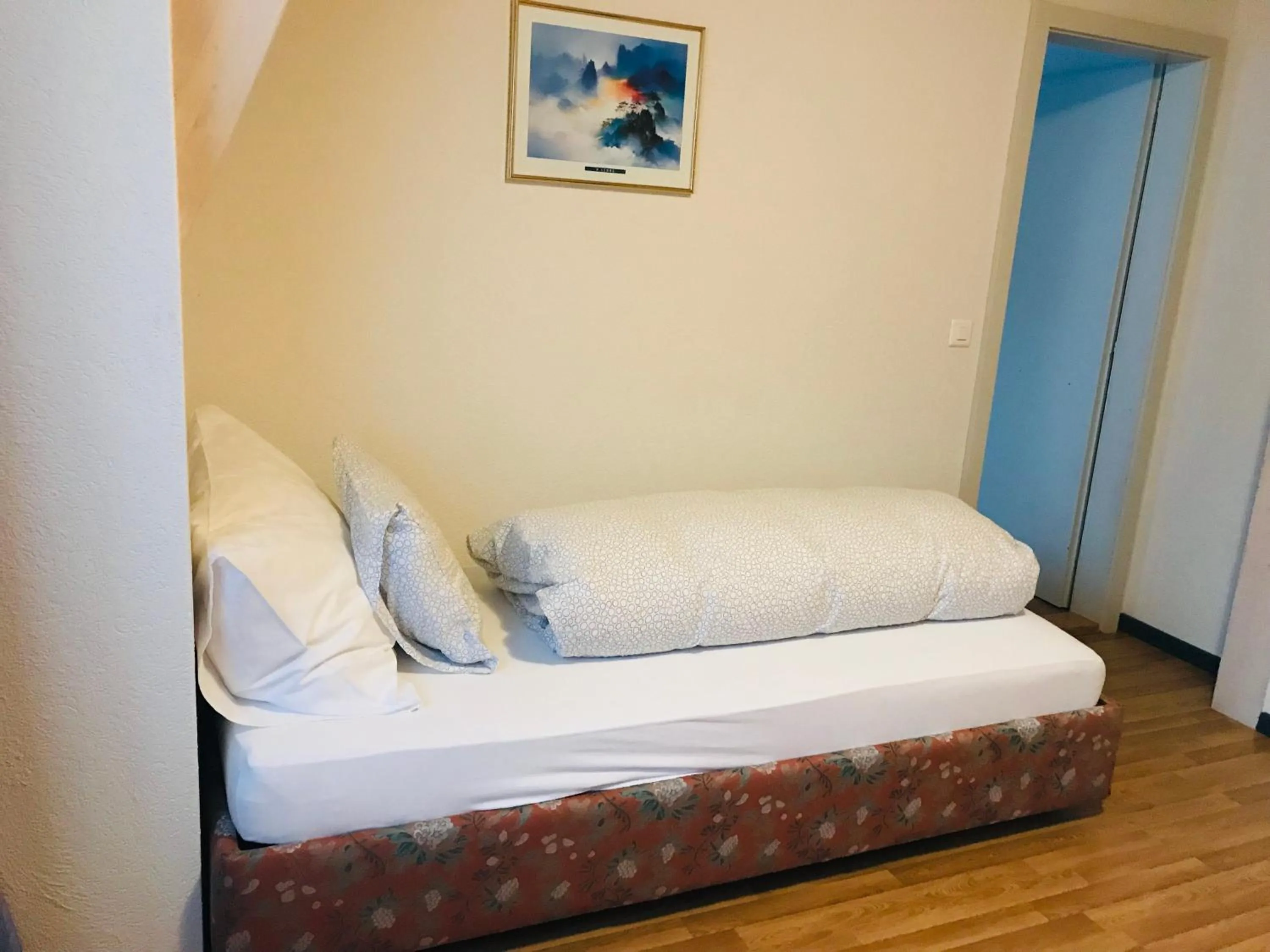 Bed in Parkhotel Bellevue Budget