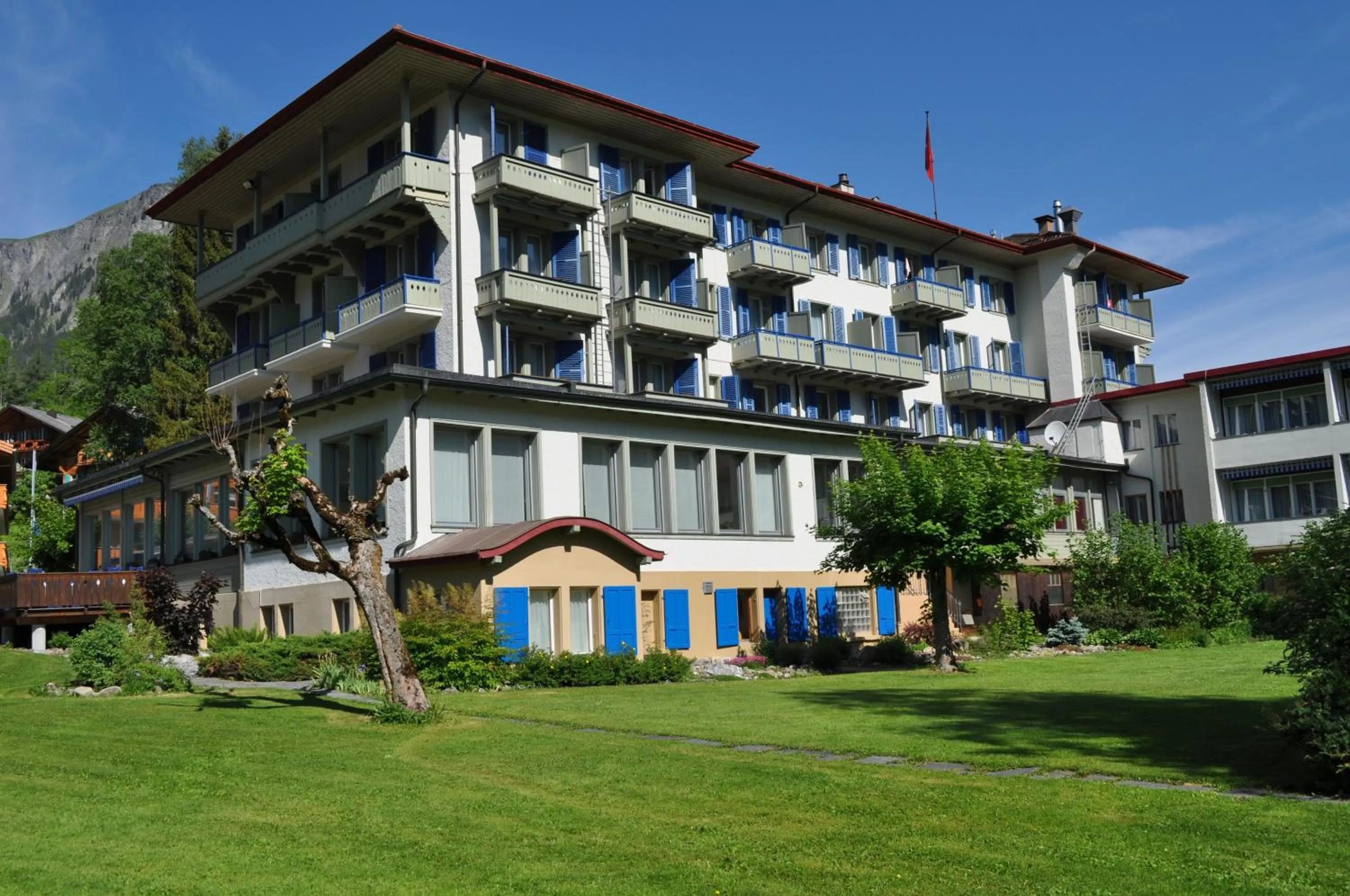 Garden in Parkhotel Bellevue Budget