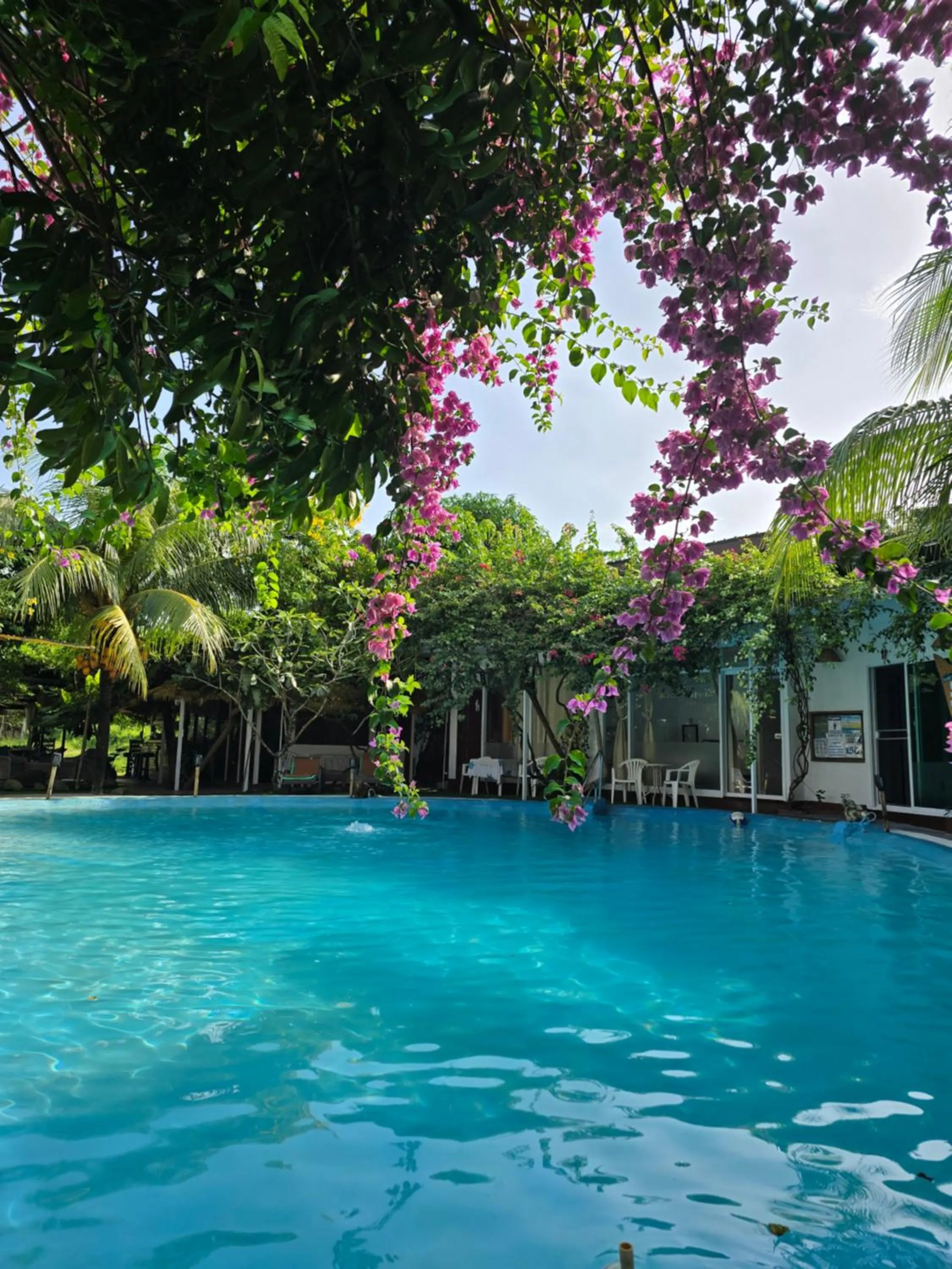 Pool view in OASIS Phuket Airport