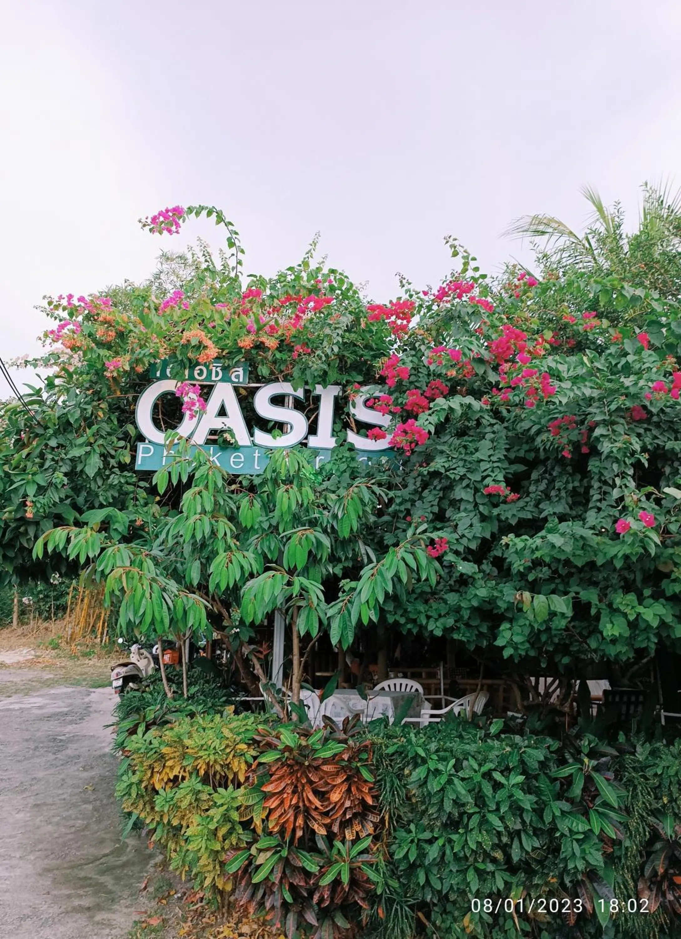 OASIS Phuket Airport