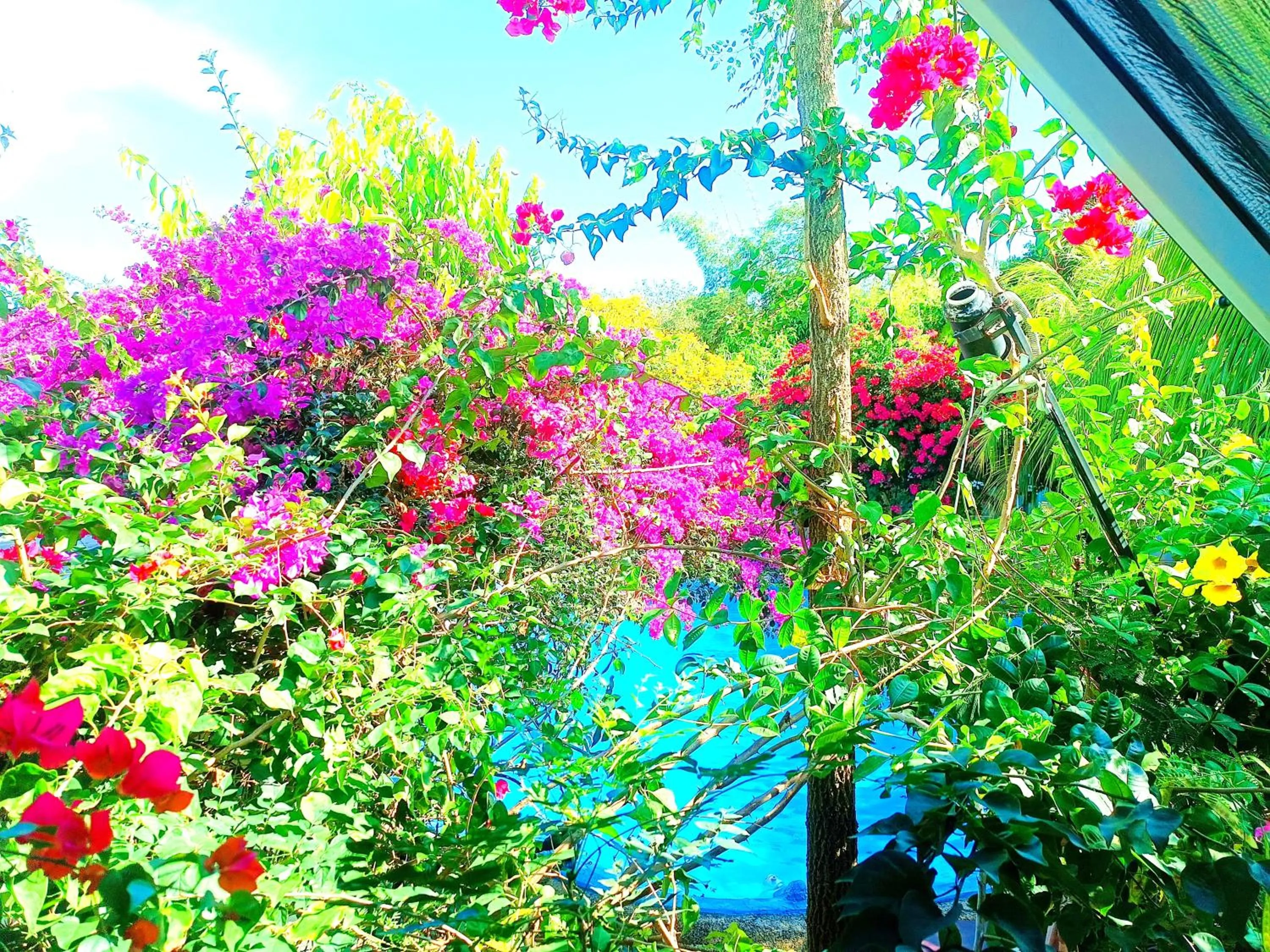 Spring in OASIS Phuket Airport