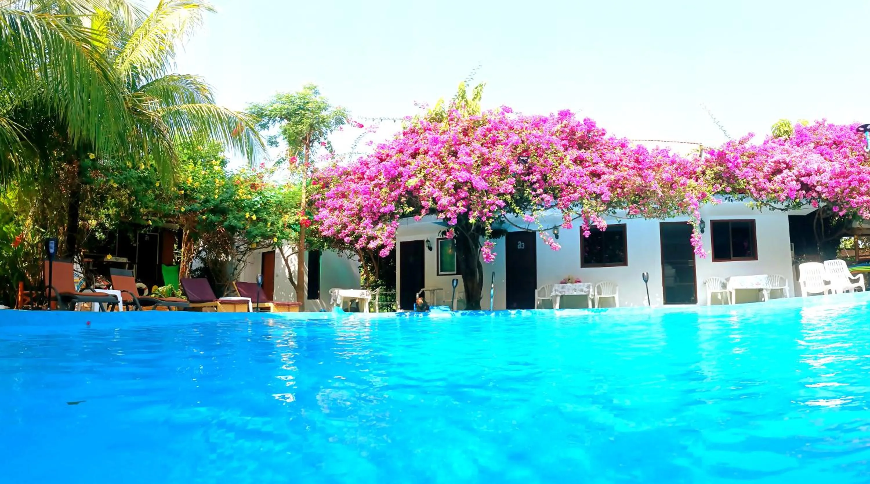 OASIS Phuket Airport