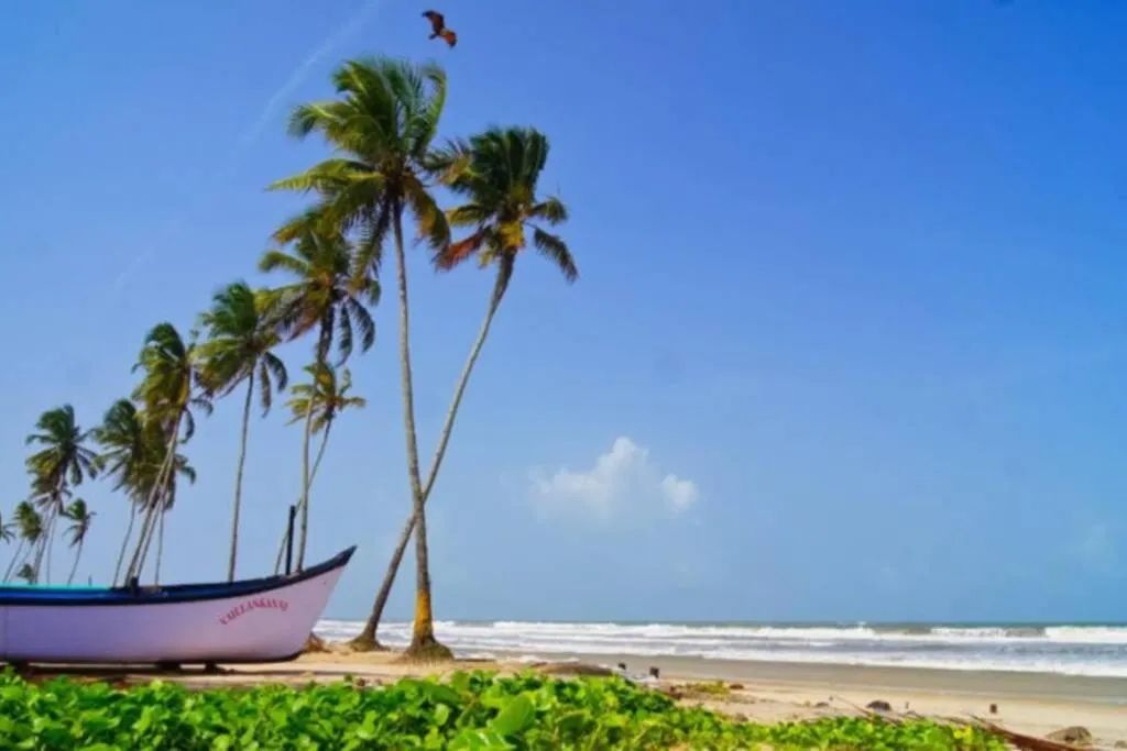 Beach in Villa Barbosa, 2 BHK Villa & Luxury Rooms near Colva, Sernabatim, Benaulim Beach