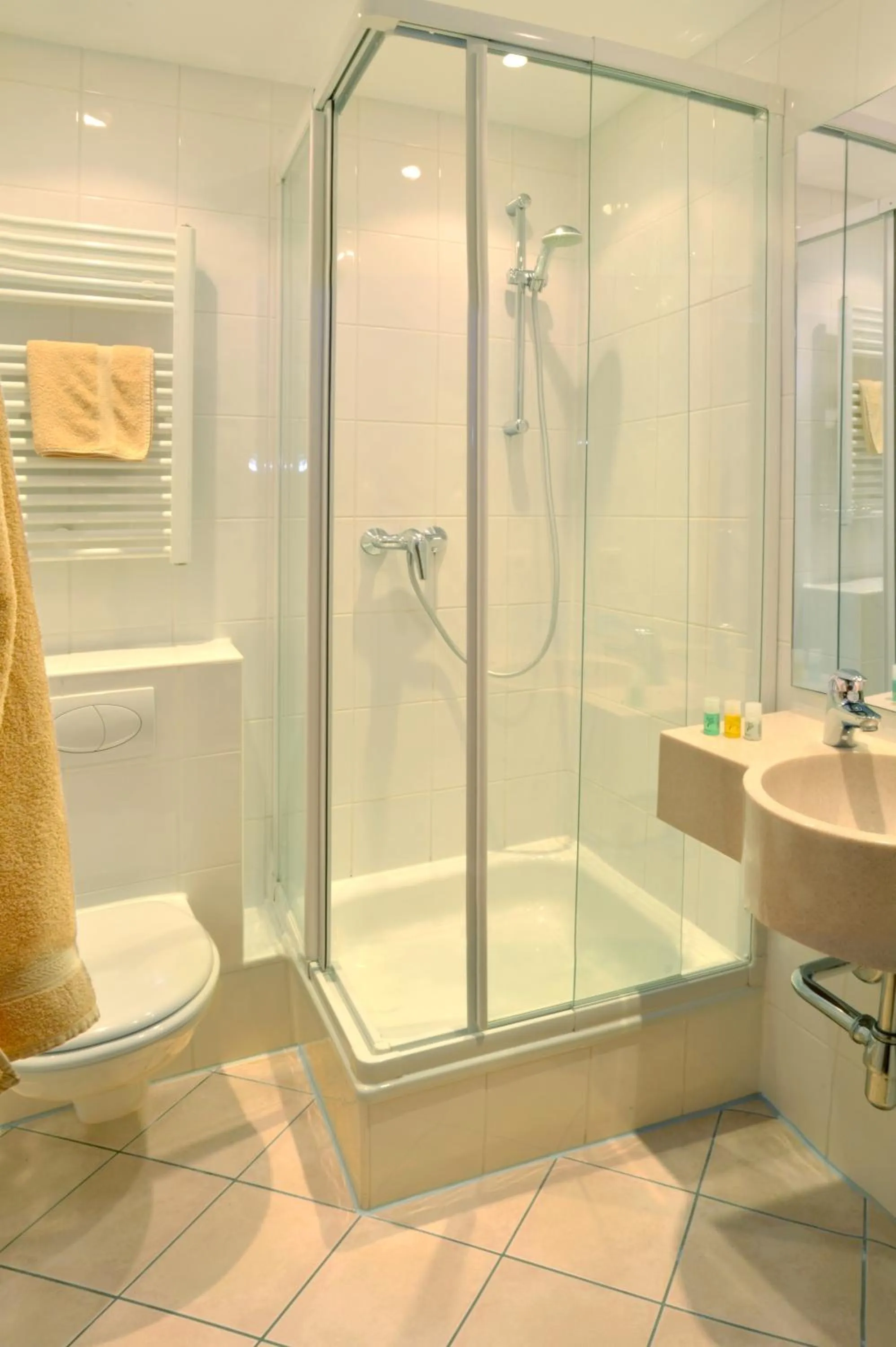 Shower in Gasthof Deutscher Adler und Hotel Puchtler