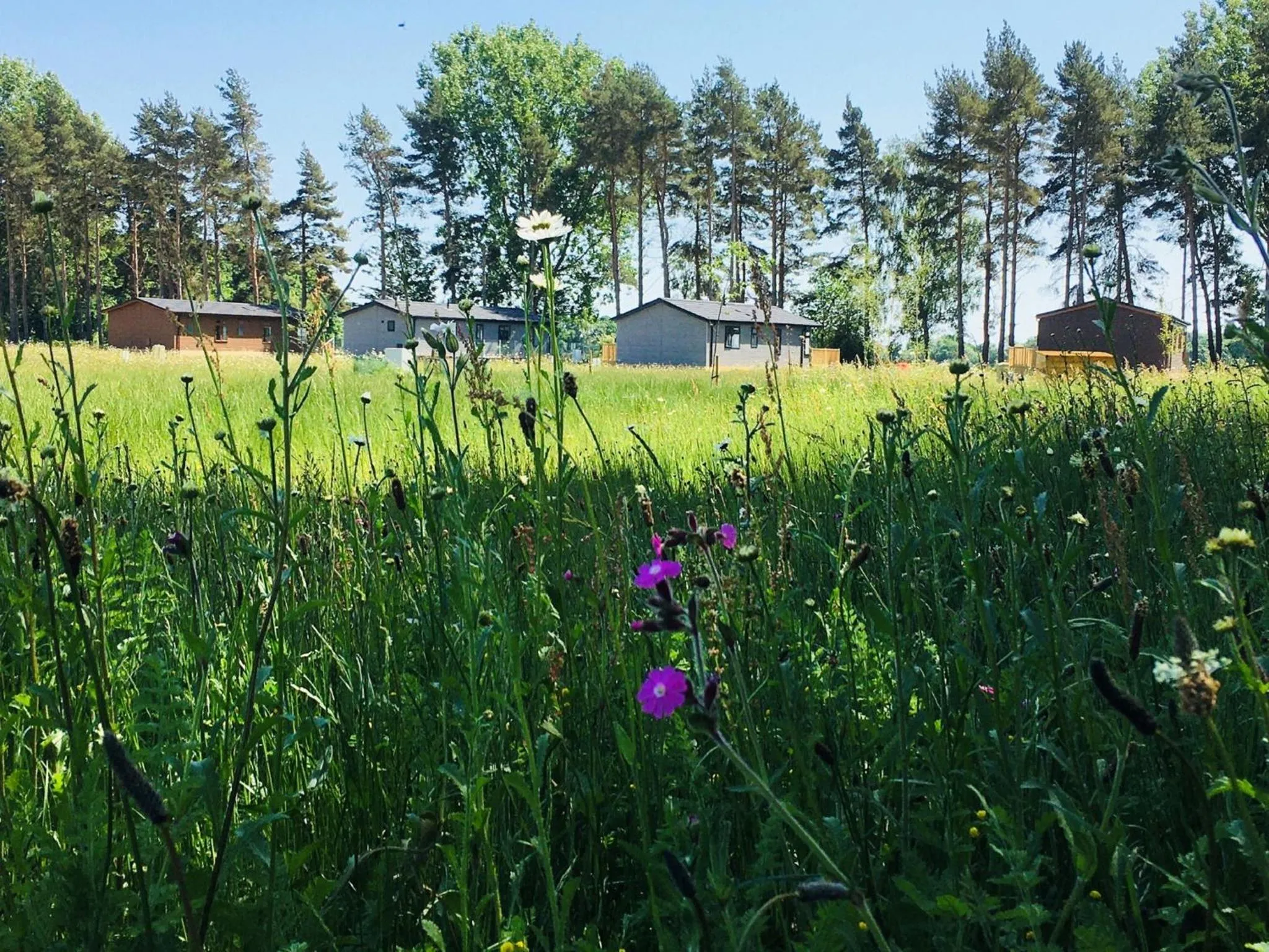 Property building in Hollicarrs - Stag Lodge