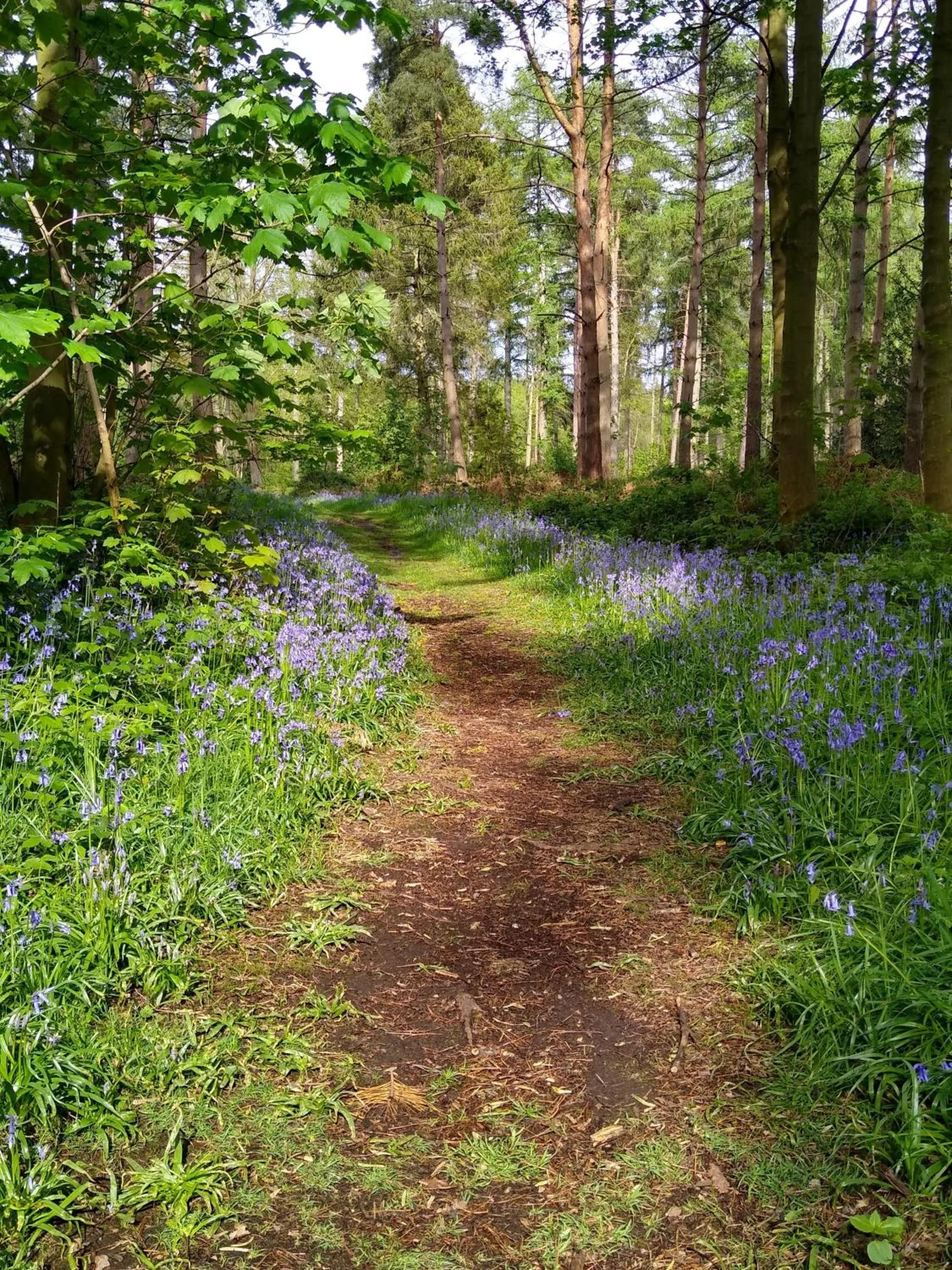 Property building in Hollicarrs - Stag Lodge