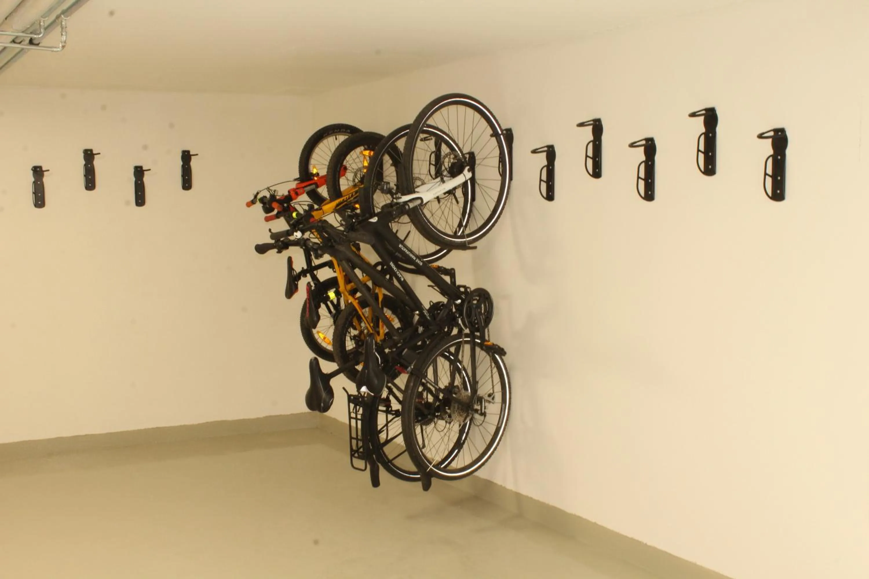 Activities in APARTMÁNY ADAM