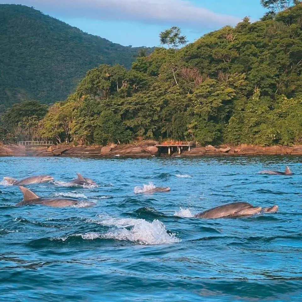 Suítes Carla e Carol