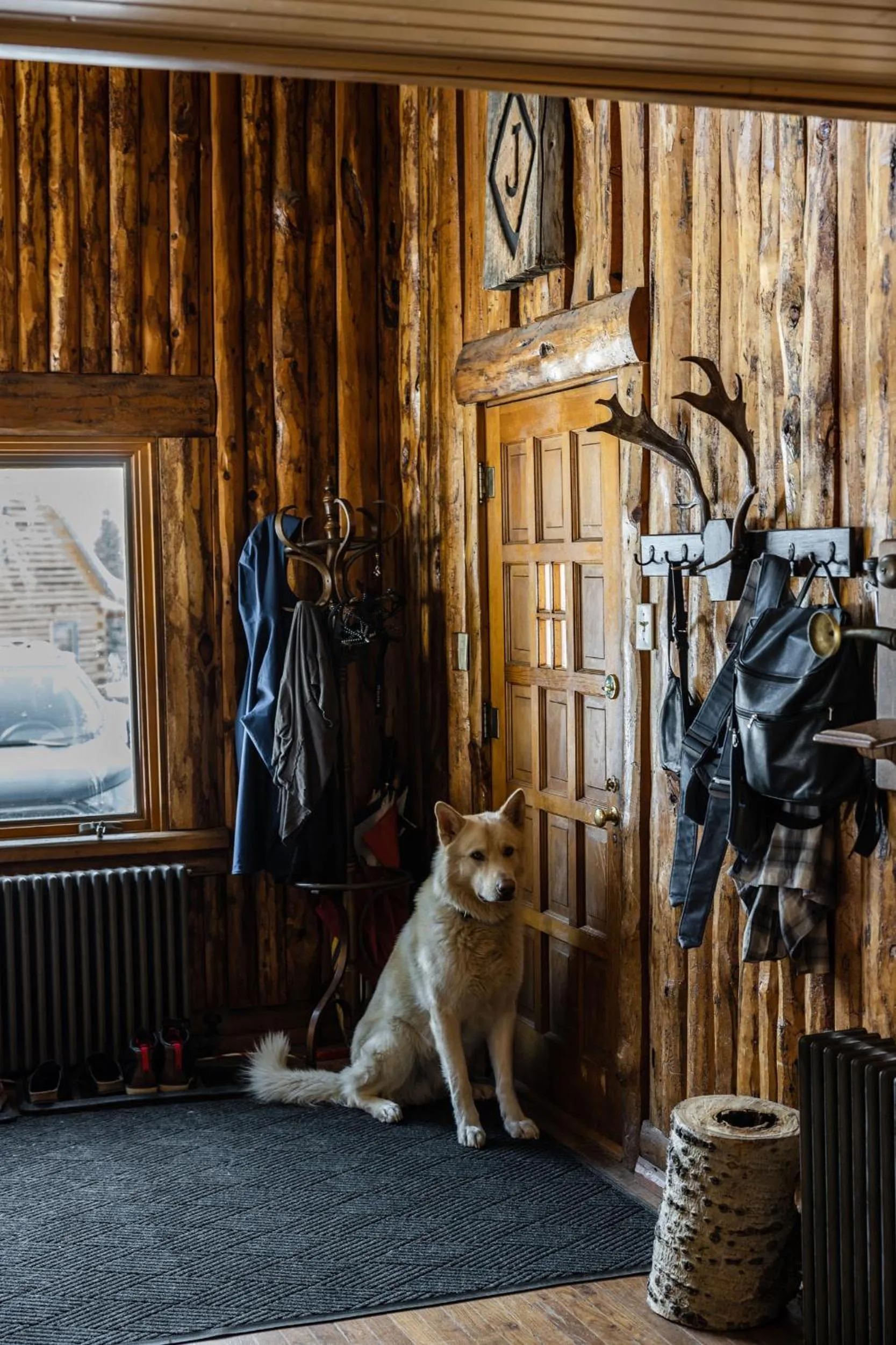 Pets in Beyul Retreat