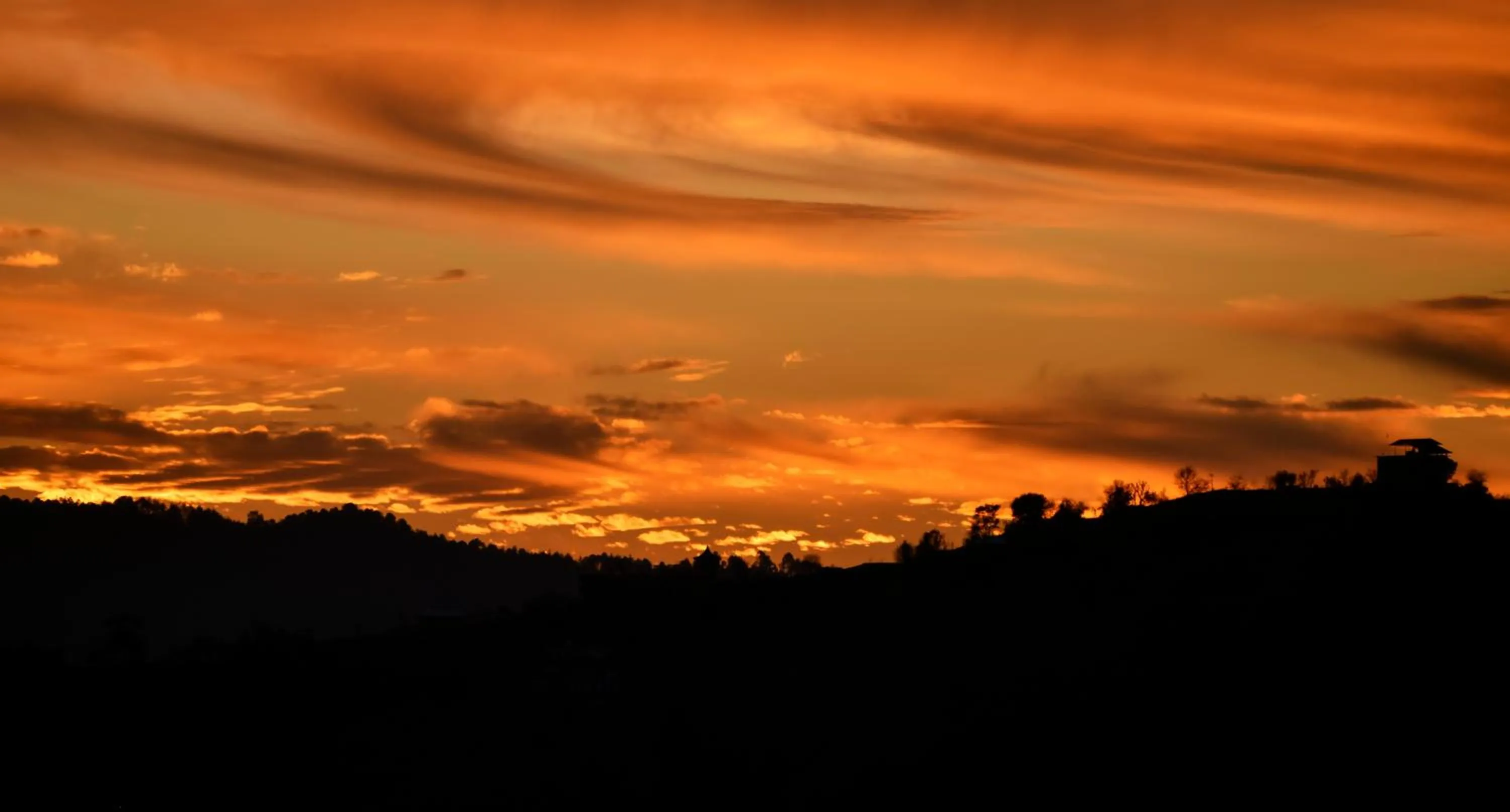 Spring in The Manor Luxury Apartments, Shimla