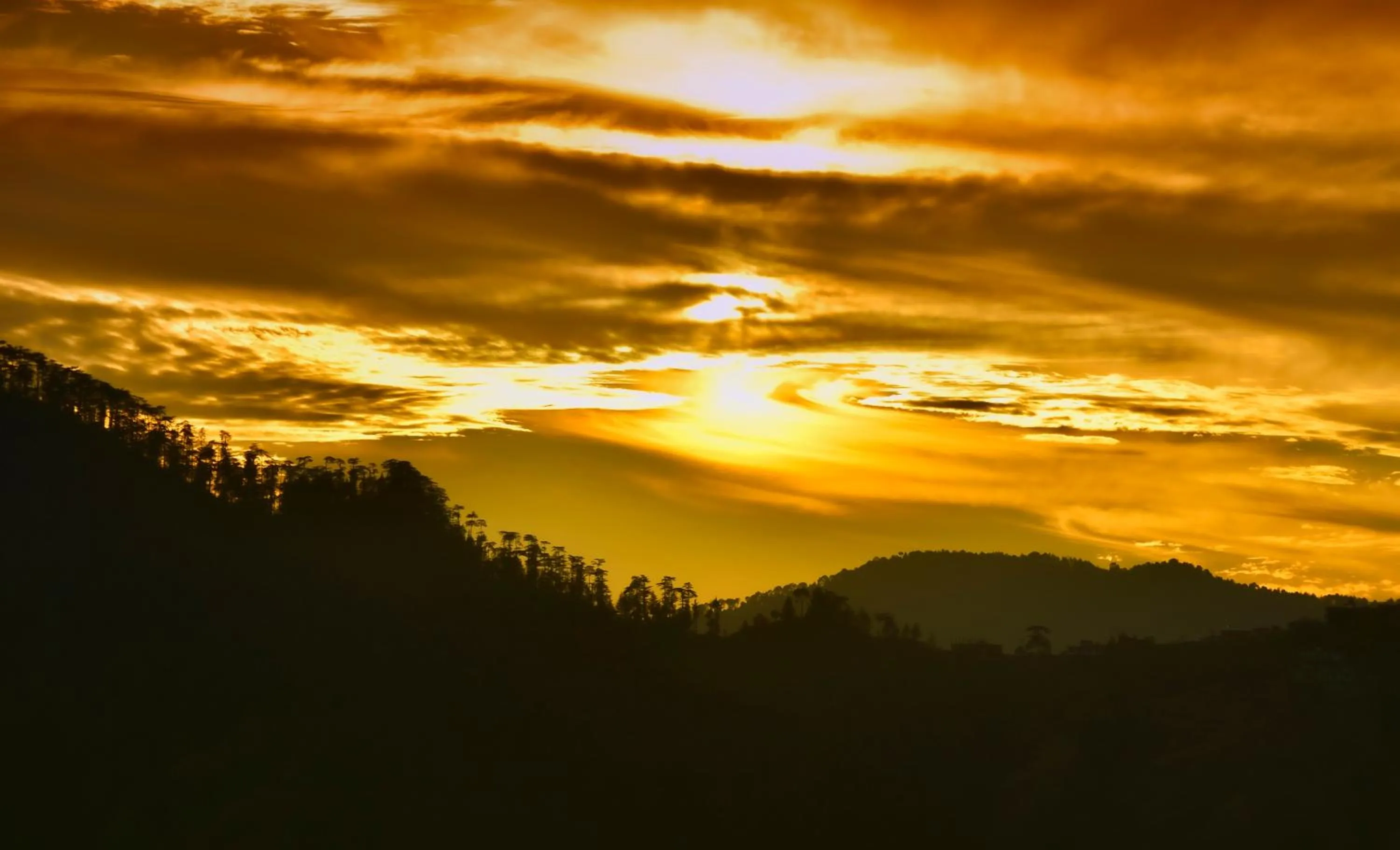 Day in The Manor Luxury Apartments, Shimla