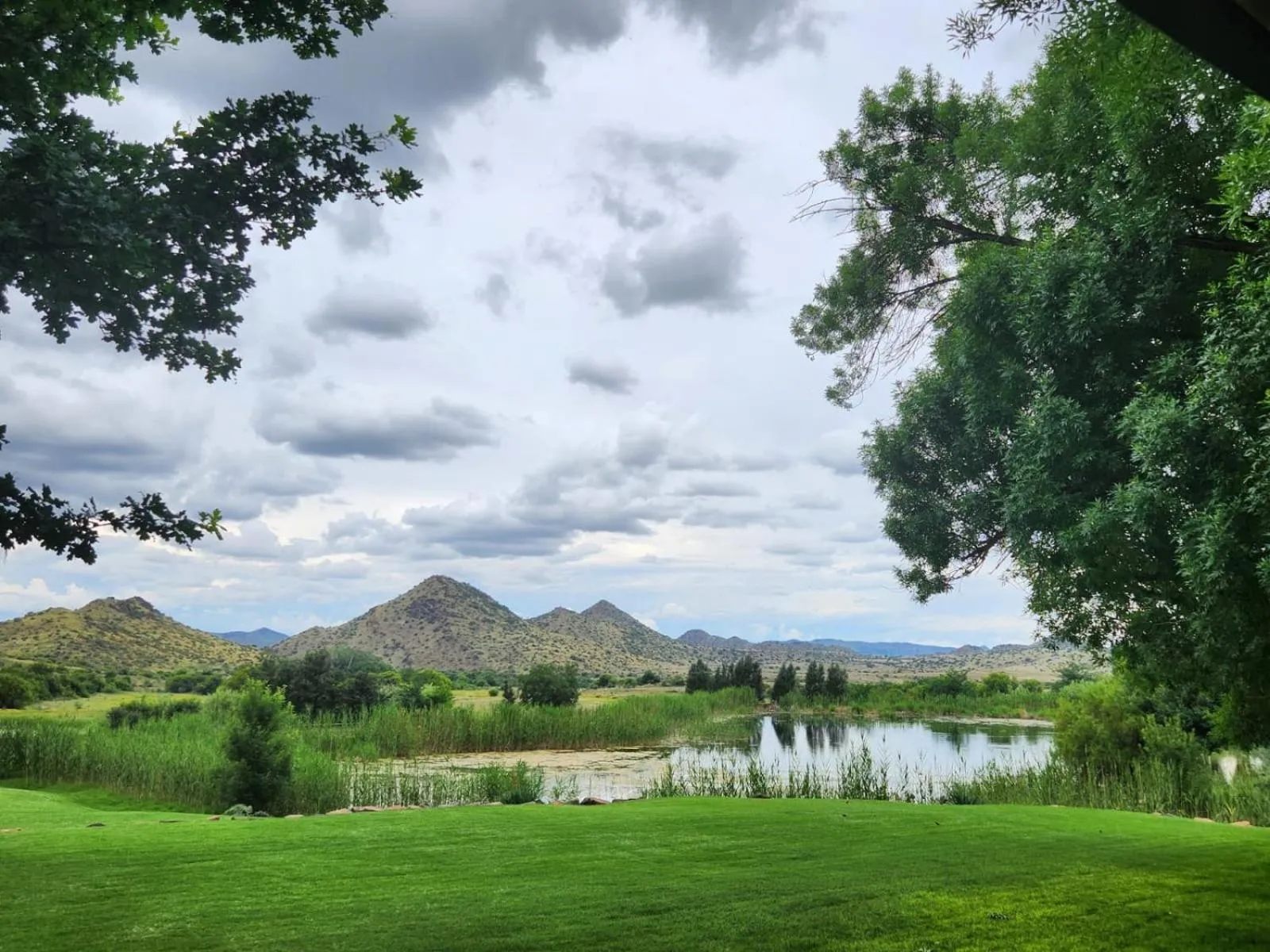 Garden in Big Sky Ranch