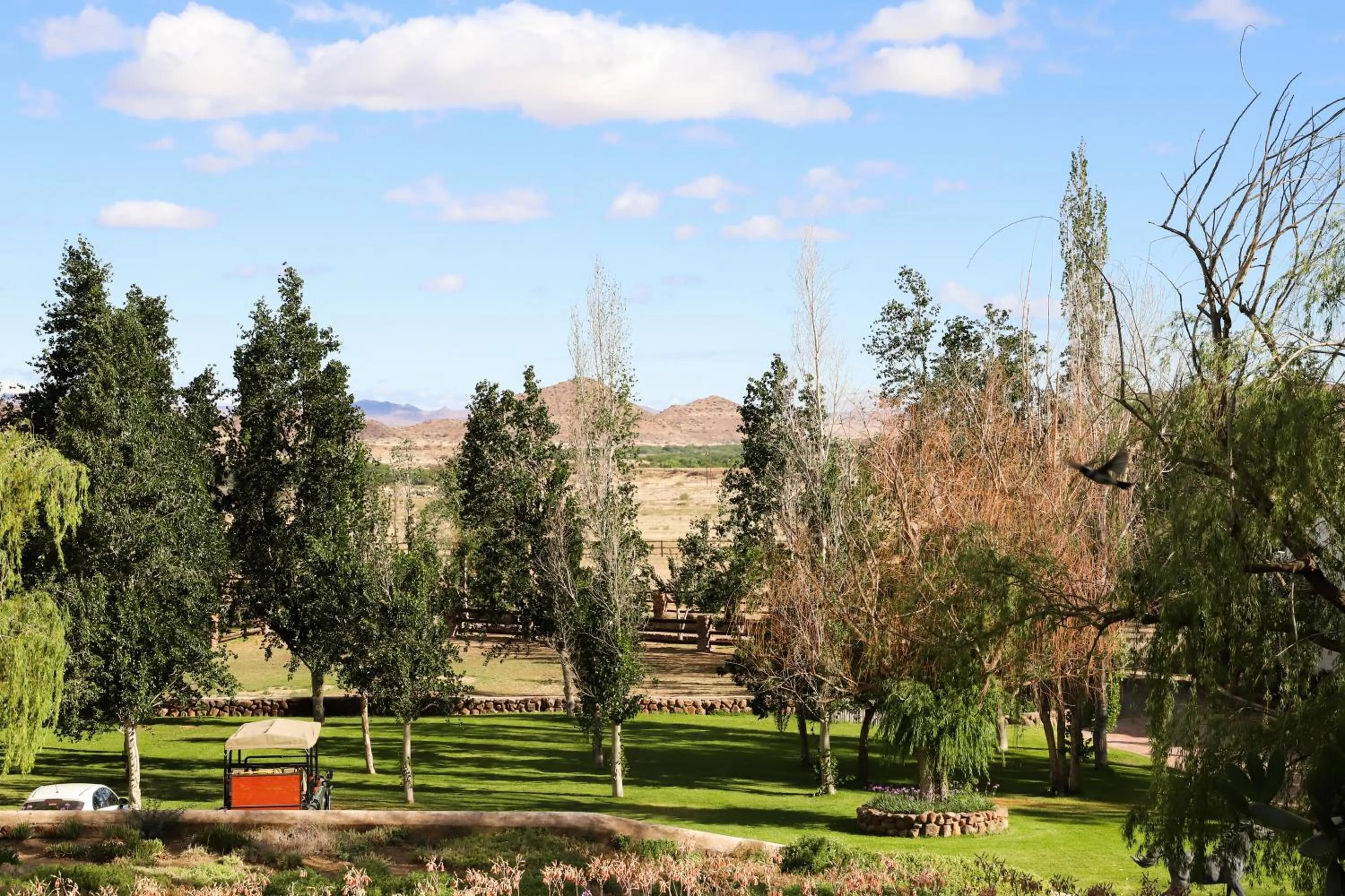 Day in Big Sky Ranch